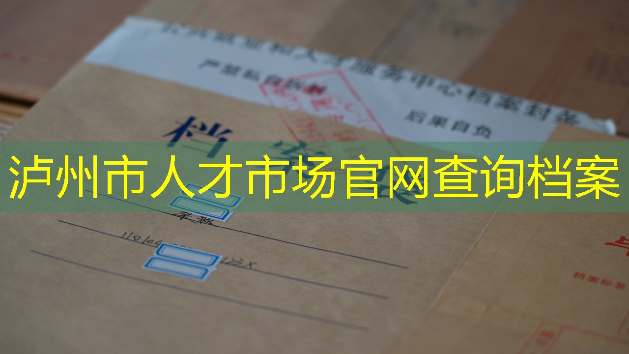 档案查询