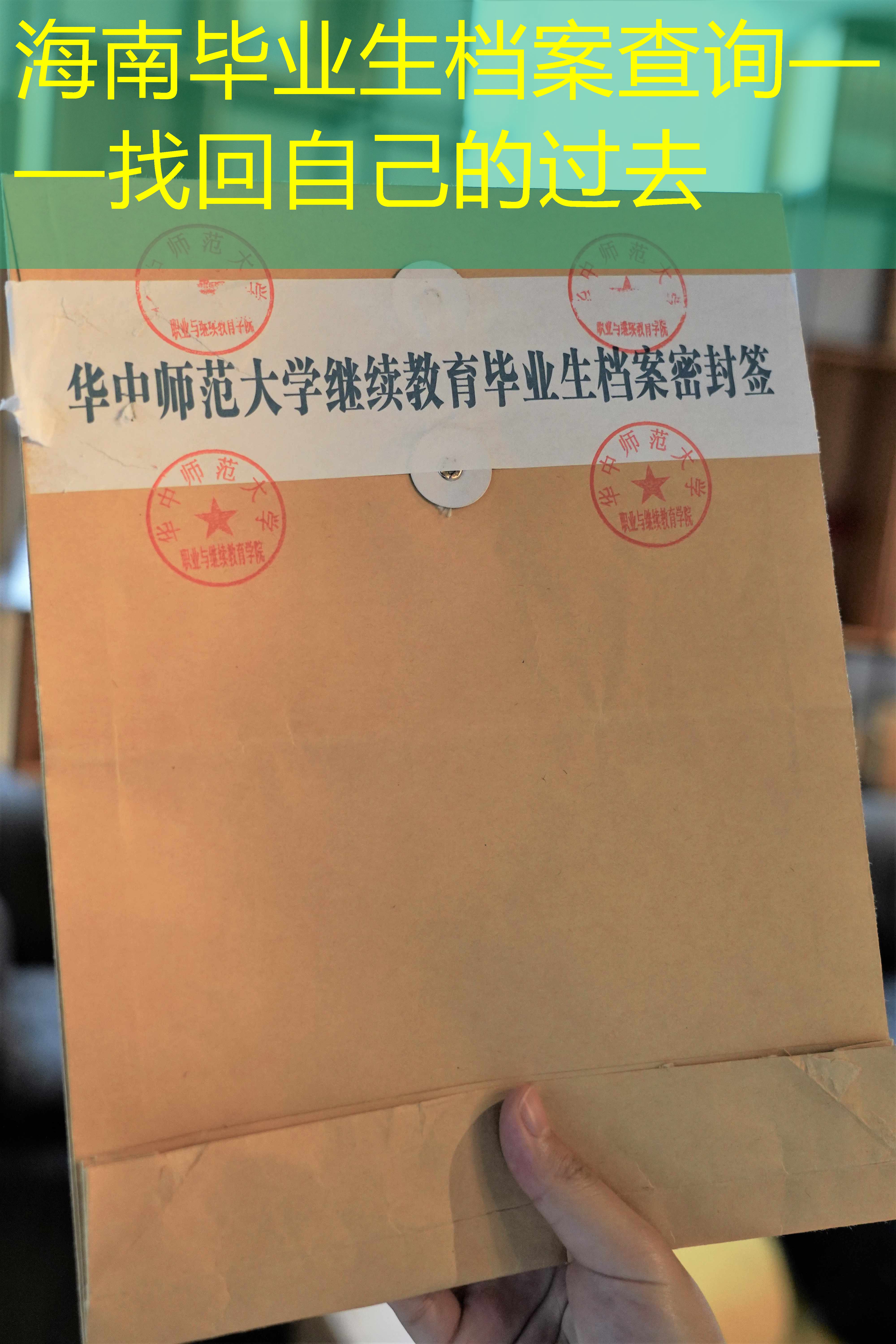 档案查询