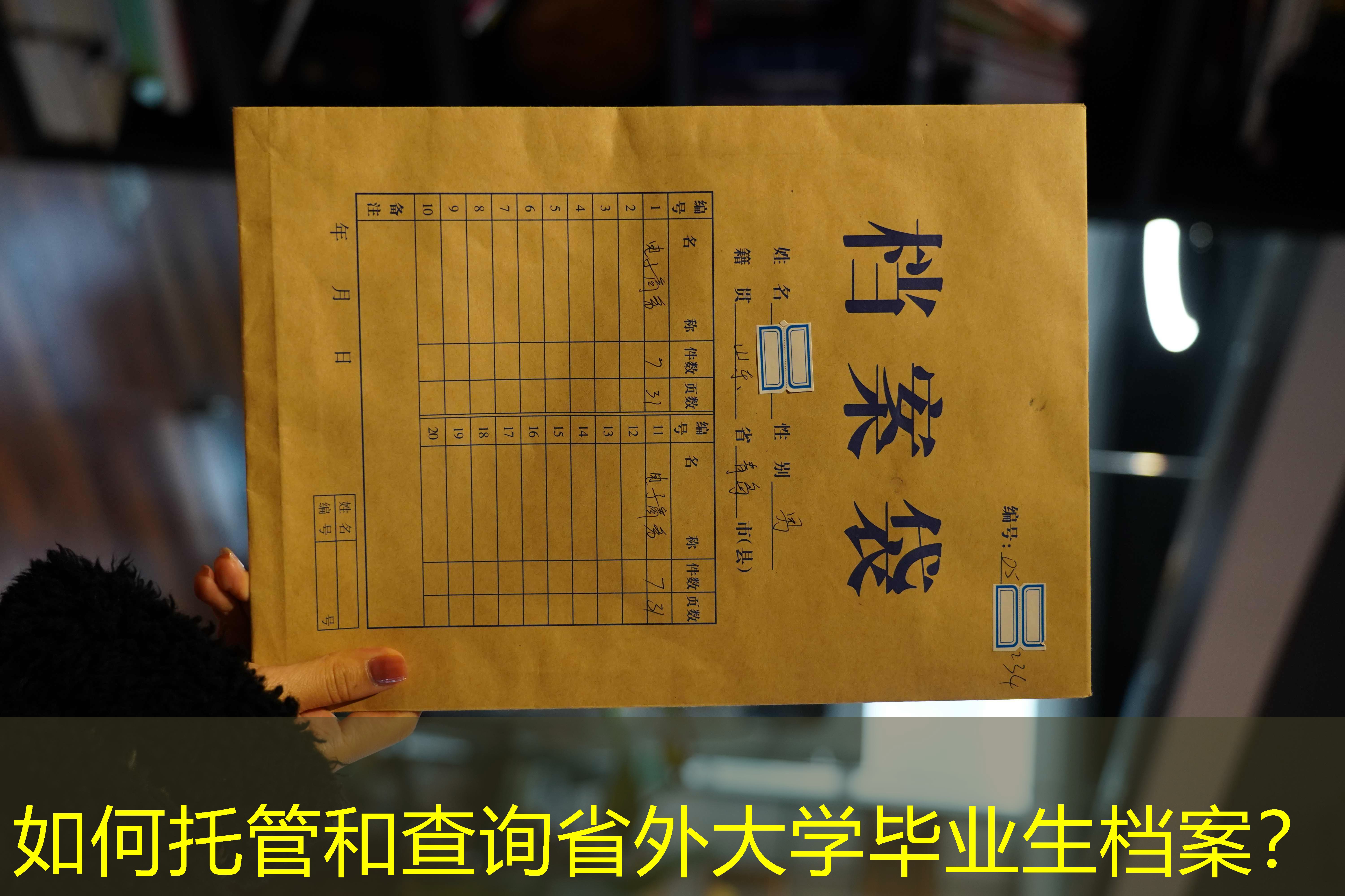 档案查询