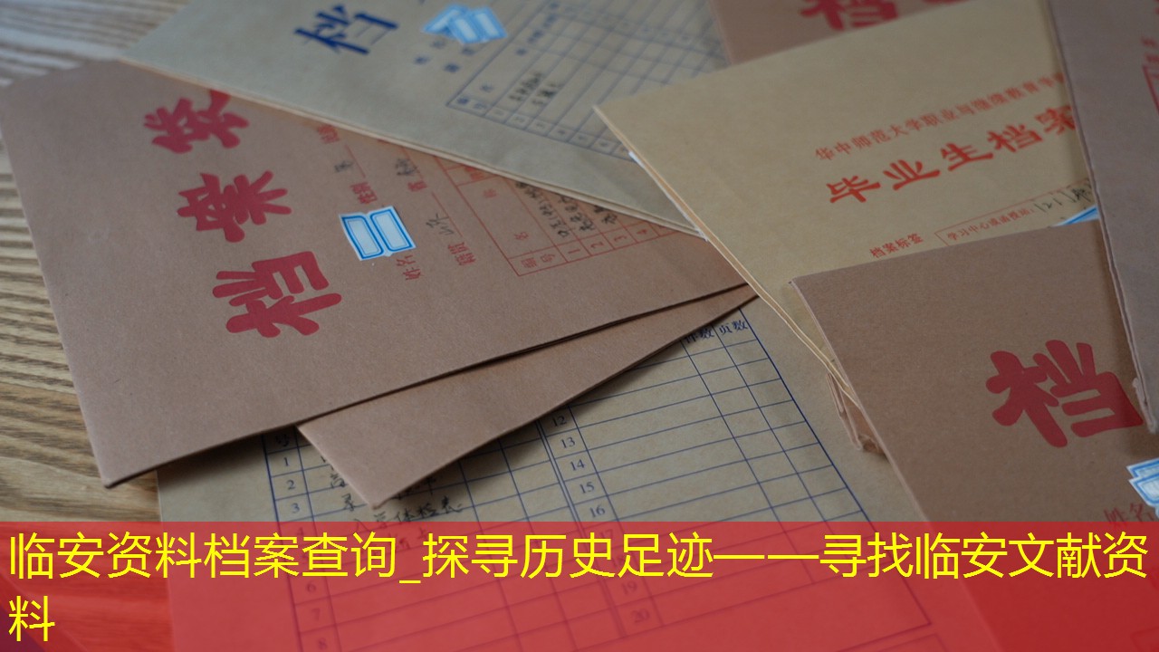 档案查询