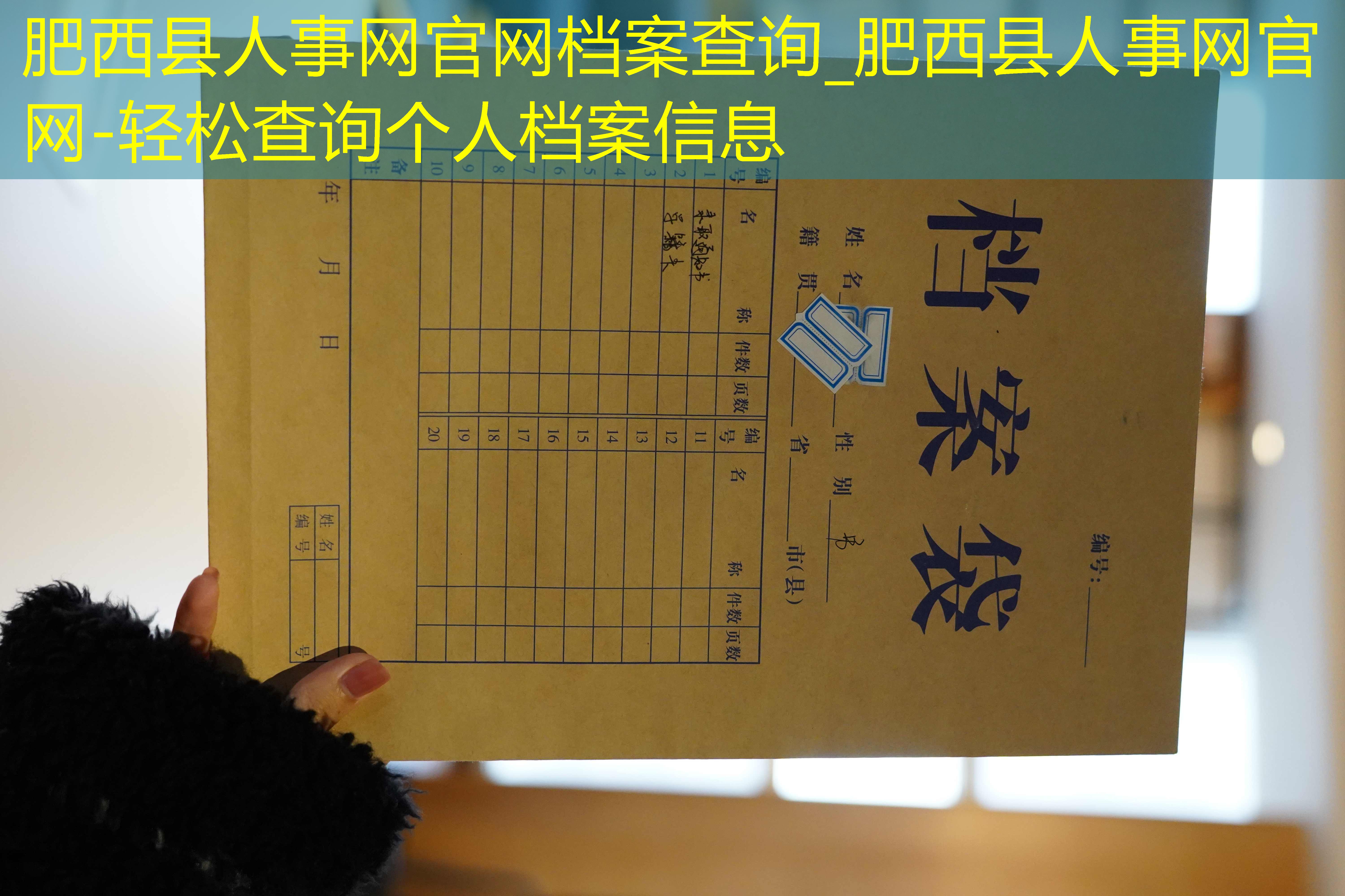 档案查询