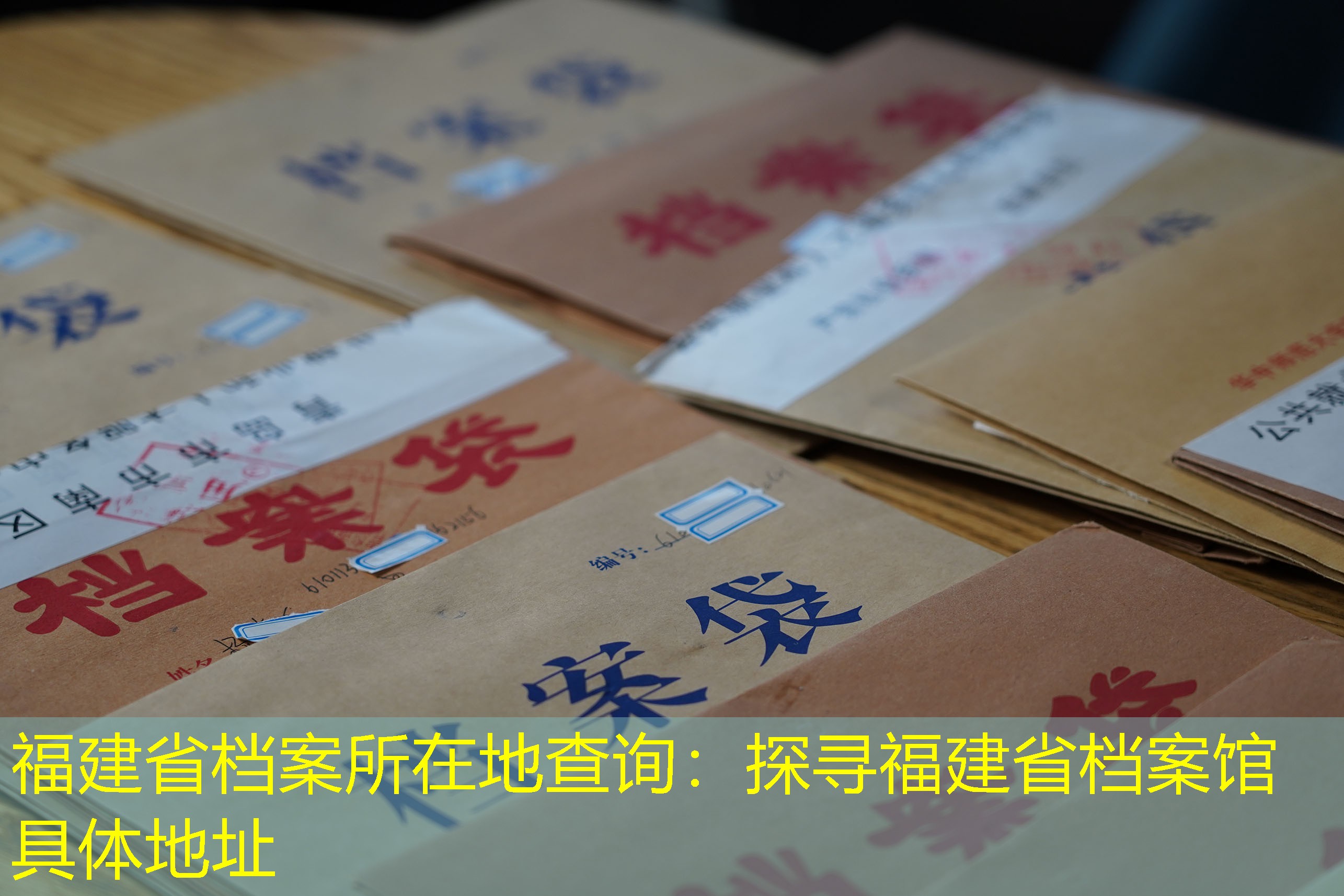 档案查询