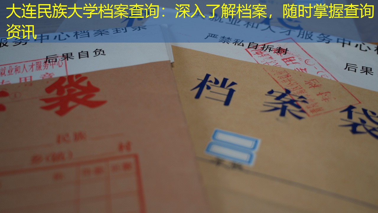 档案查询