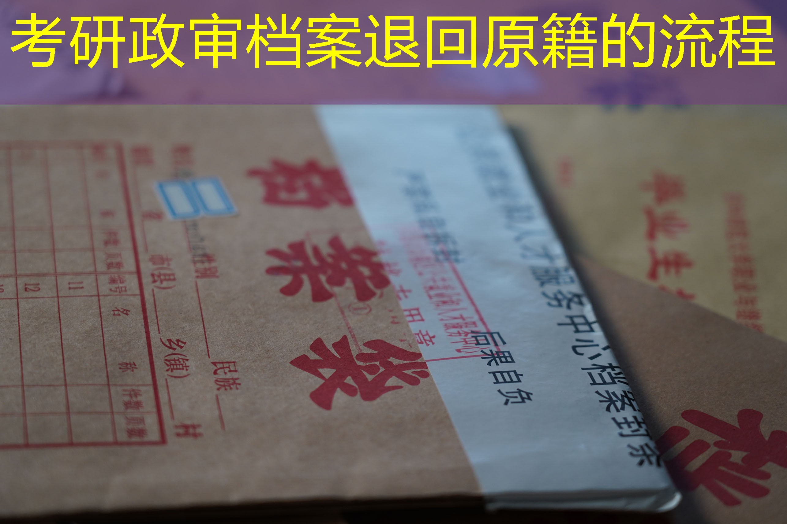 档案查询