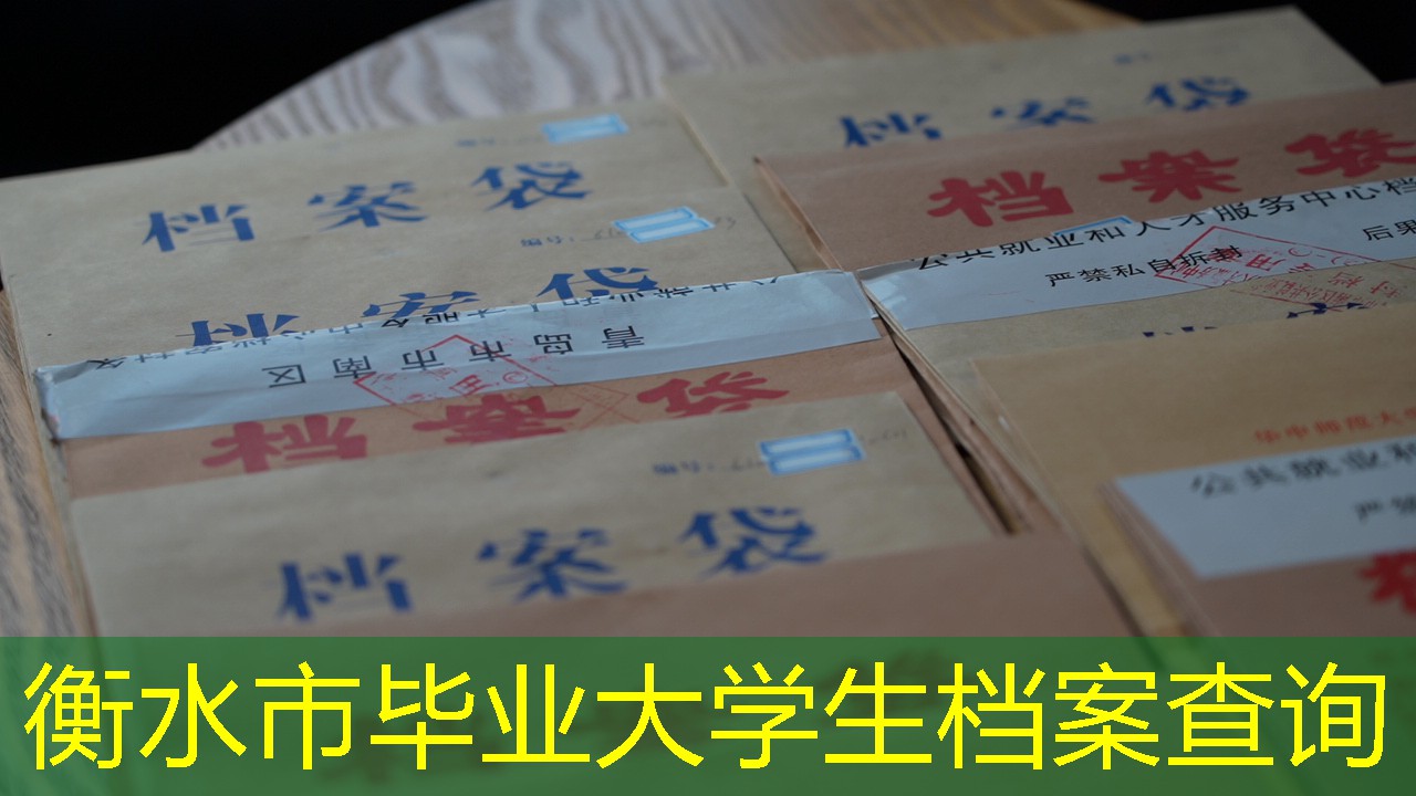 档案查询