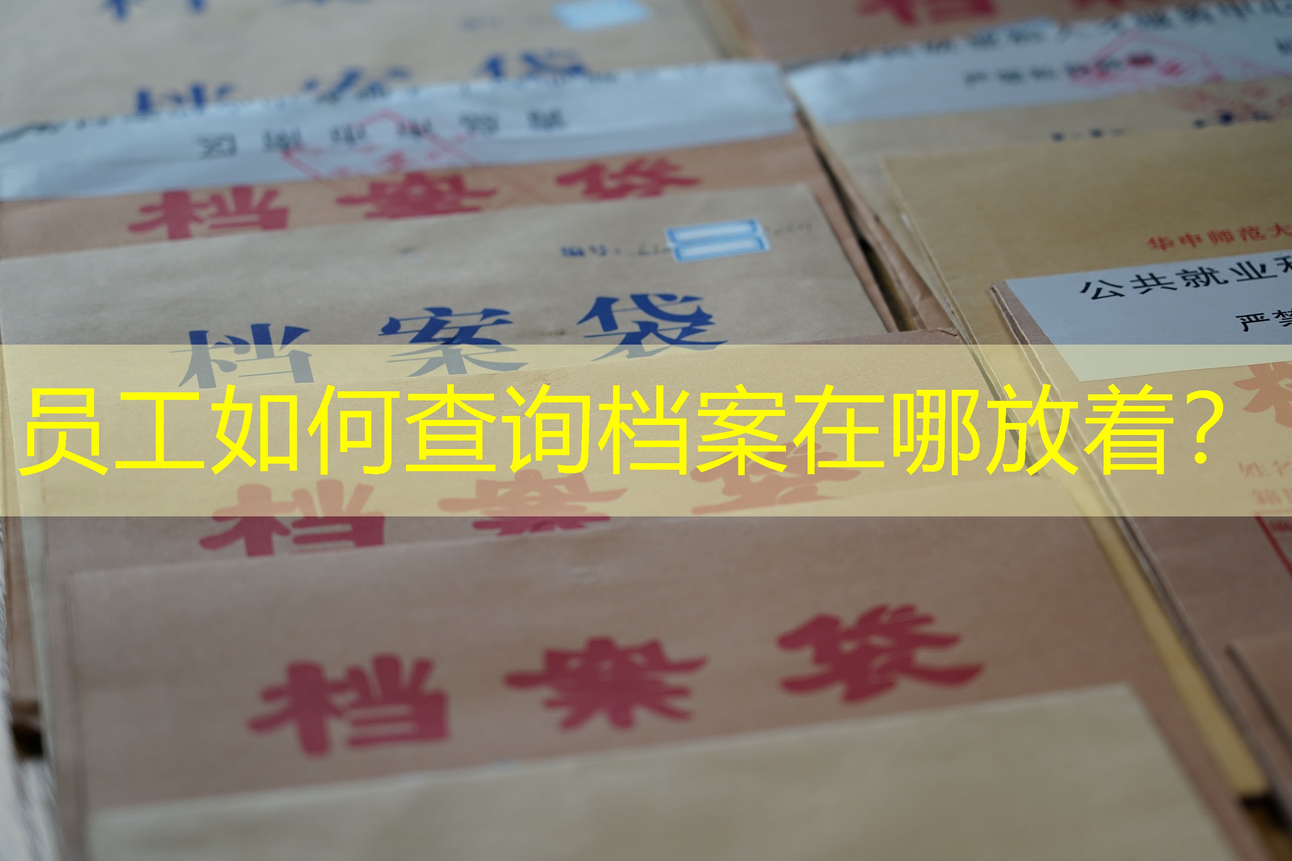 档案查询
