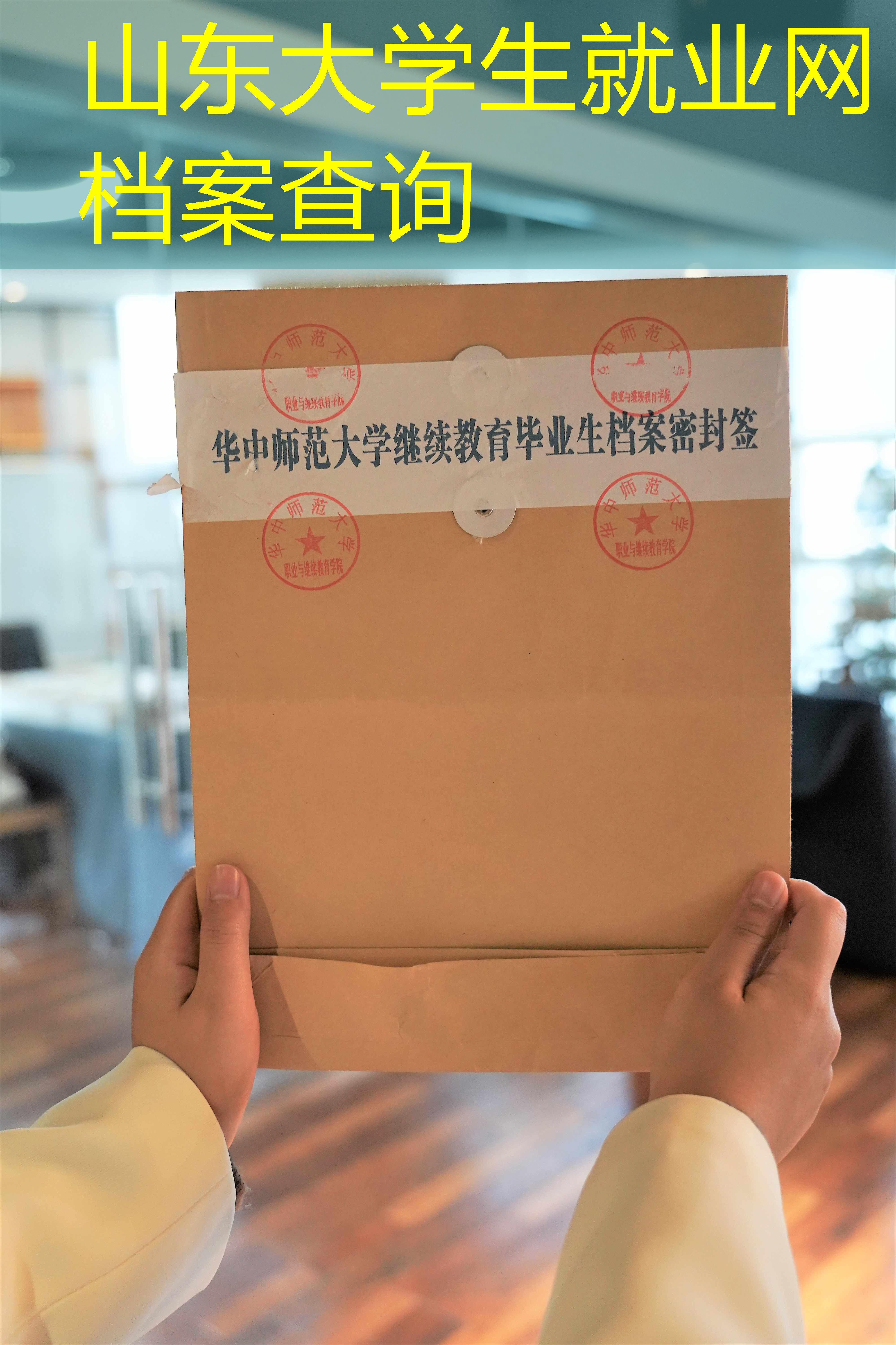 档案查询