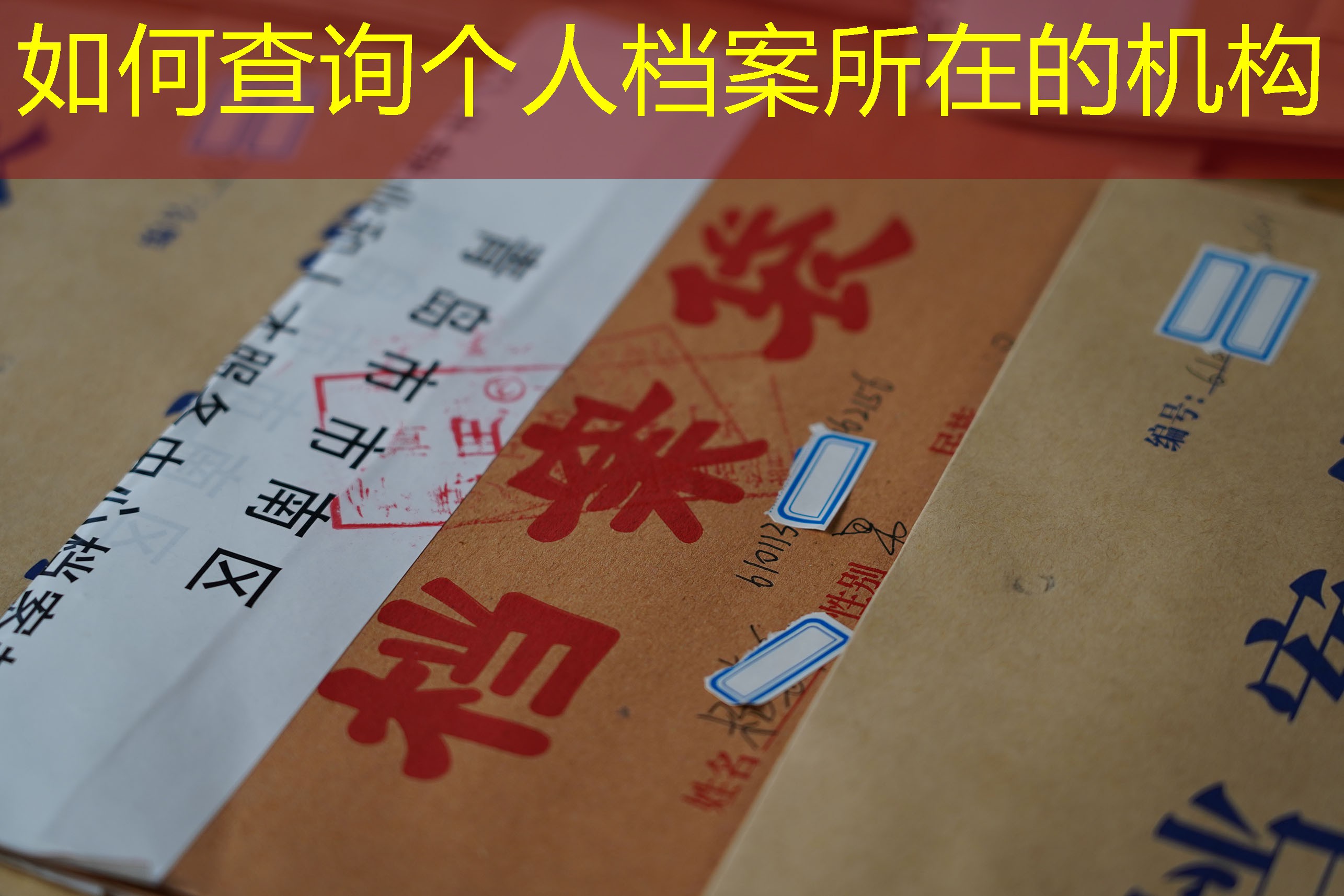 档案查询
