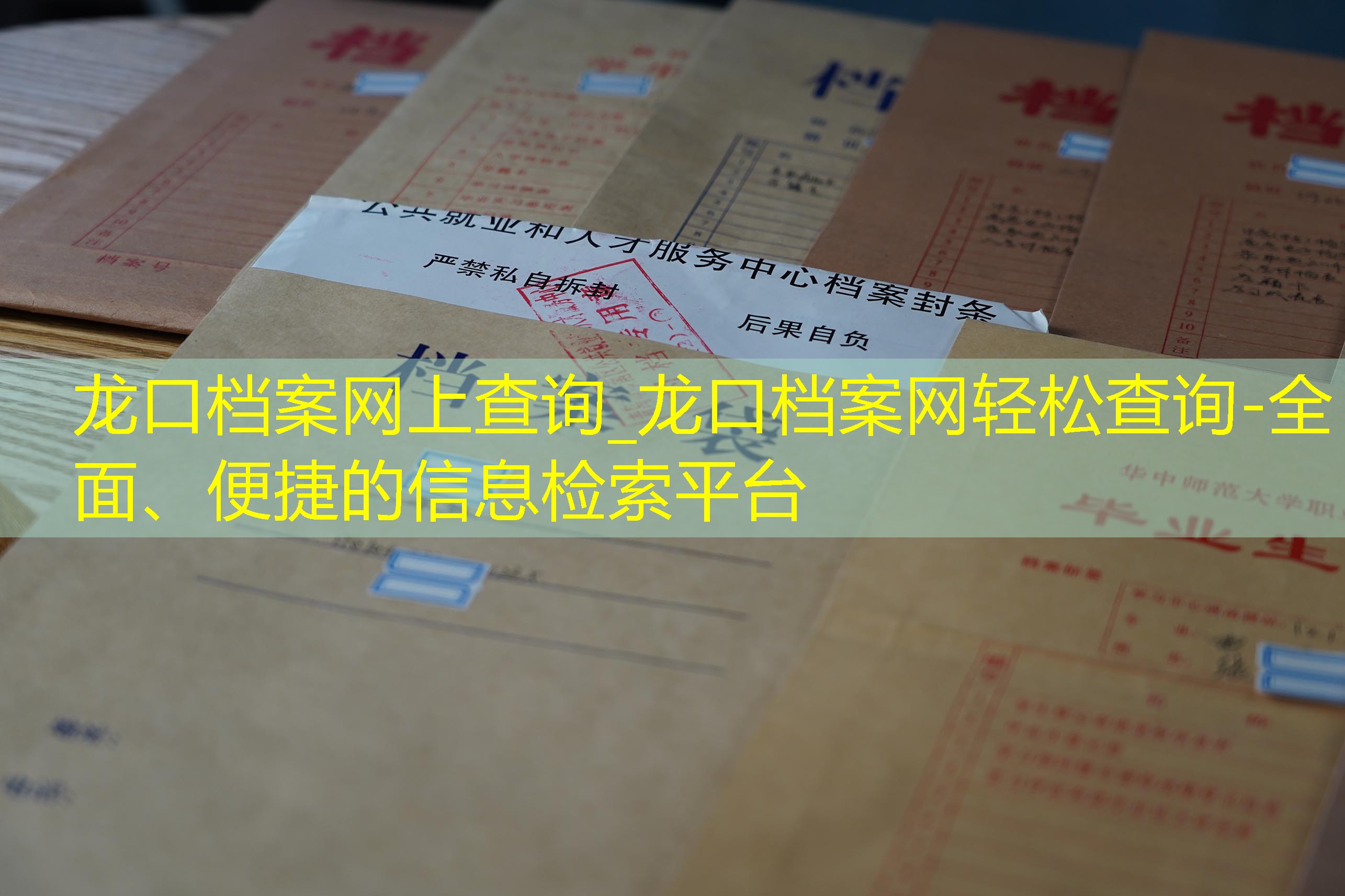档案查询