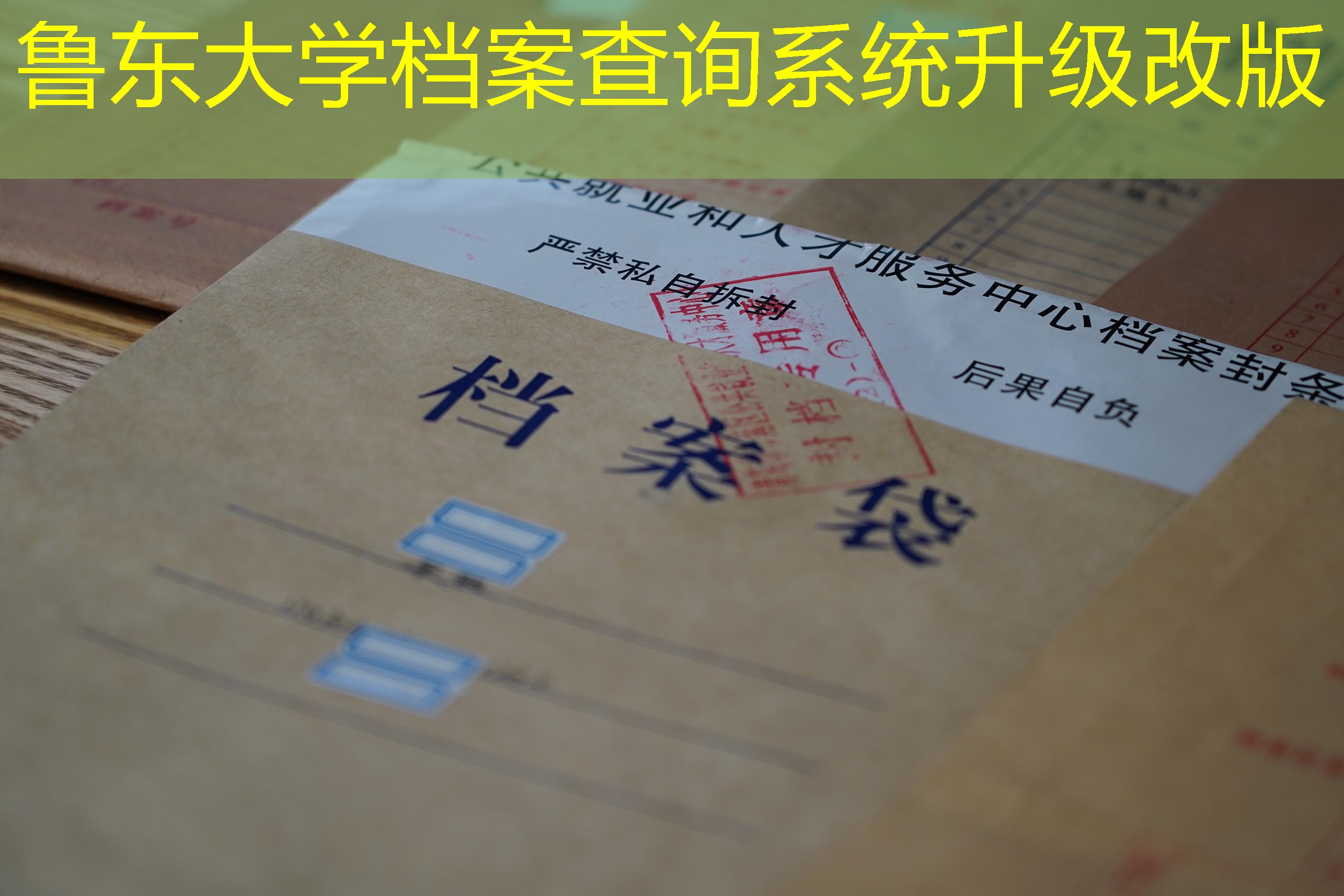 档案查询