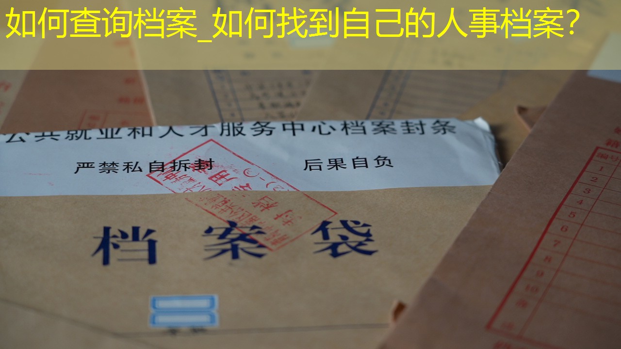 档案查询
