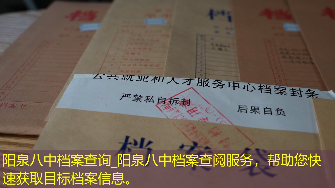 档案查询