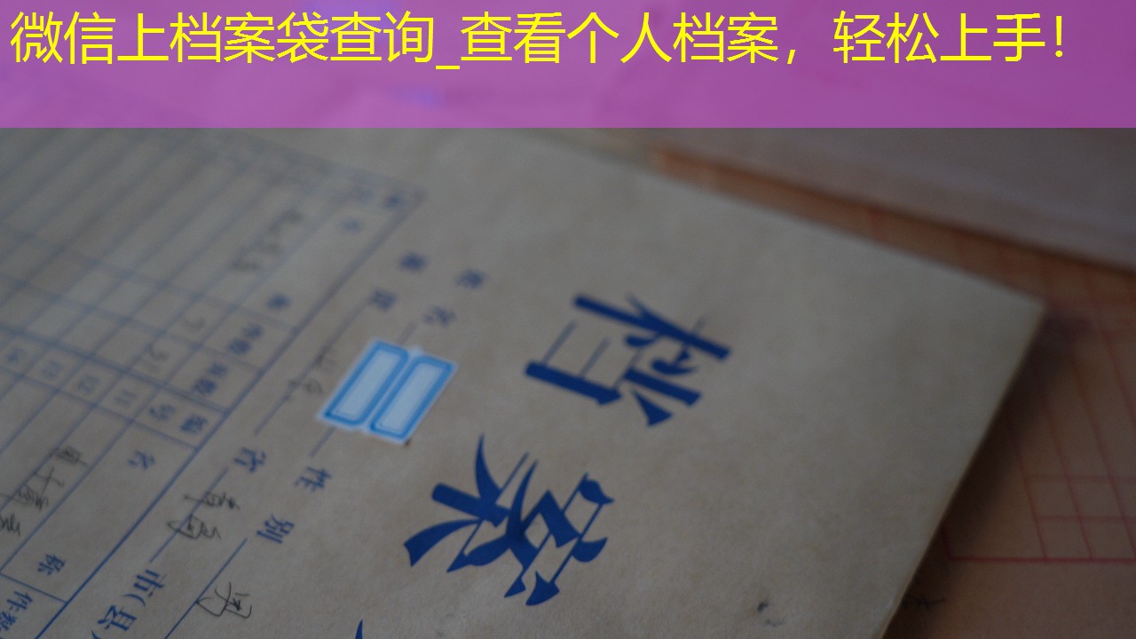档案查询