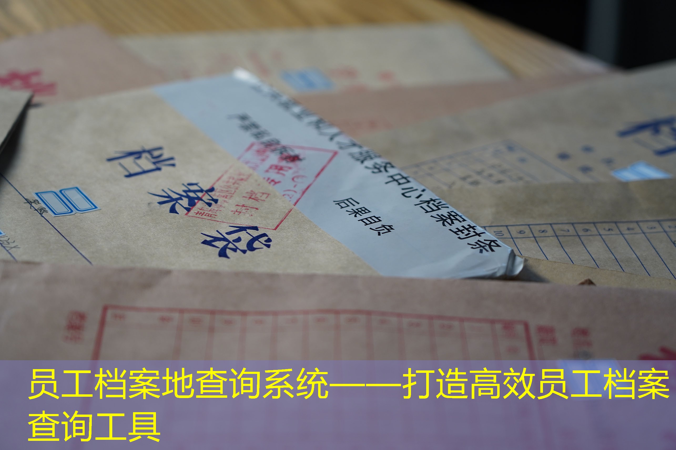档案查询