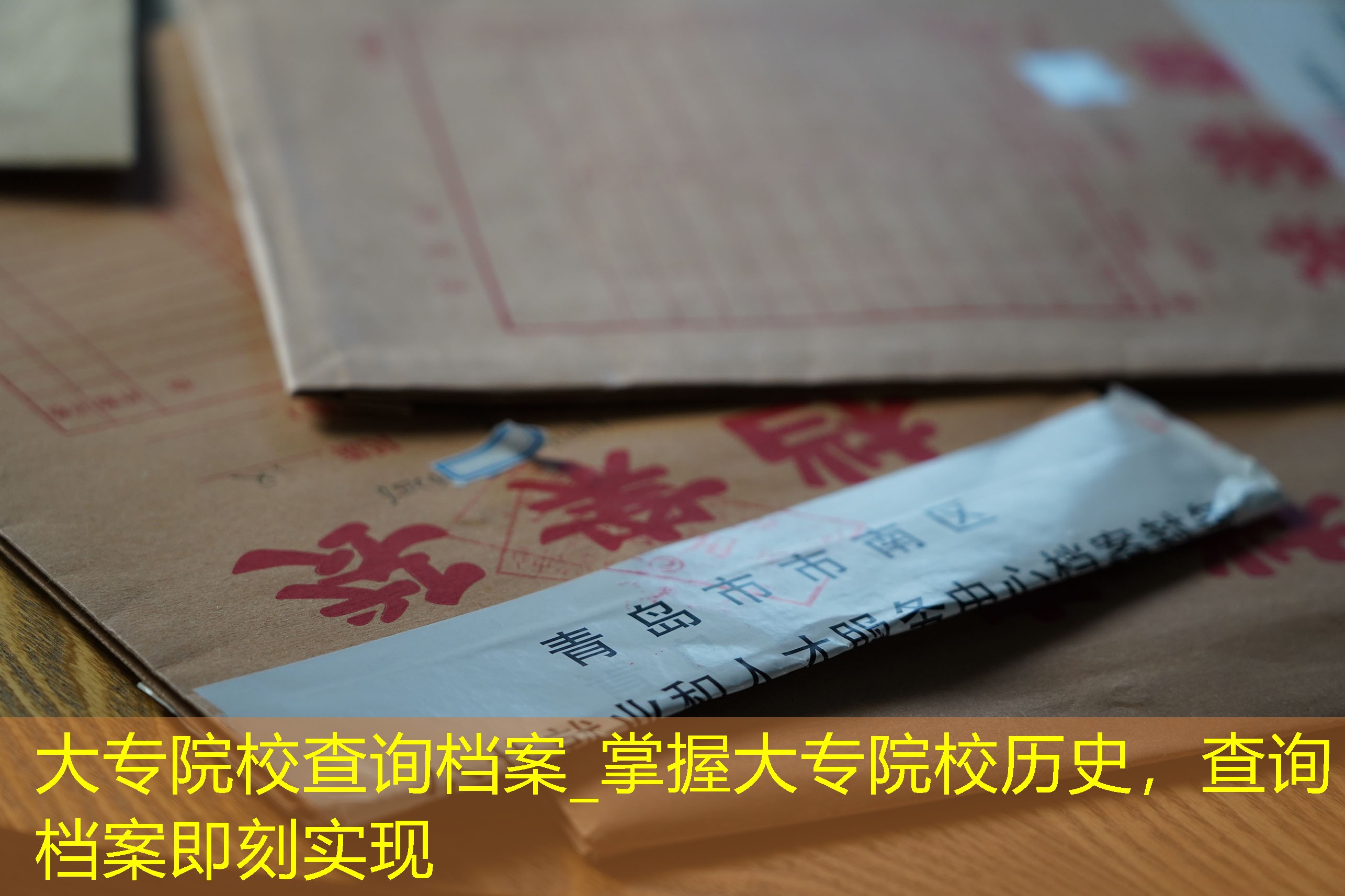 档案查询