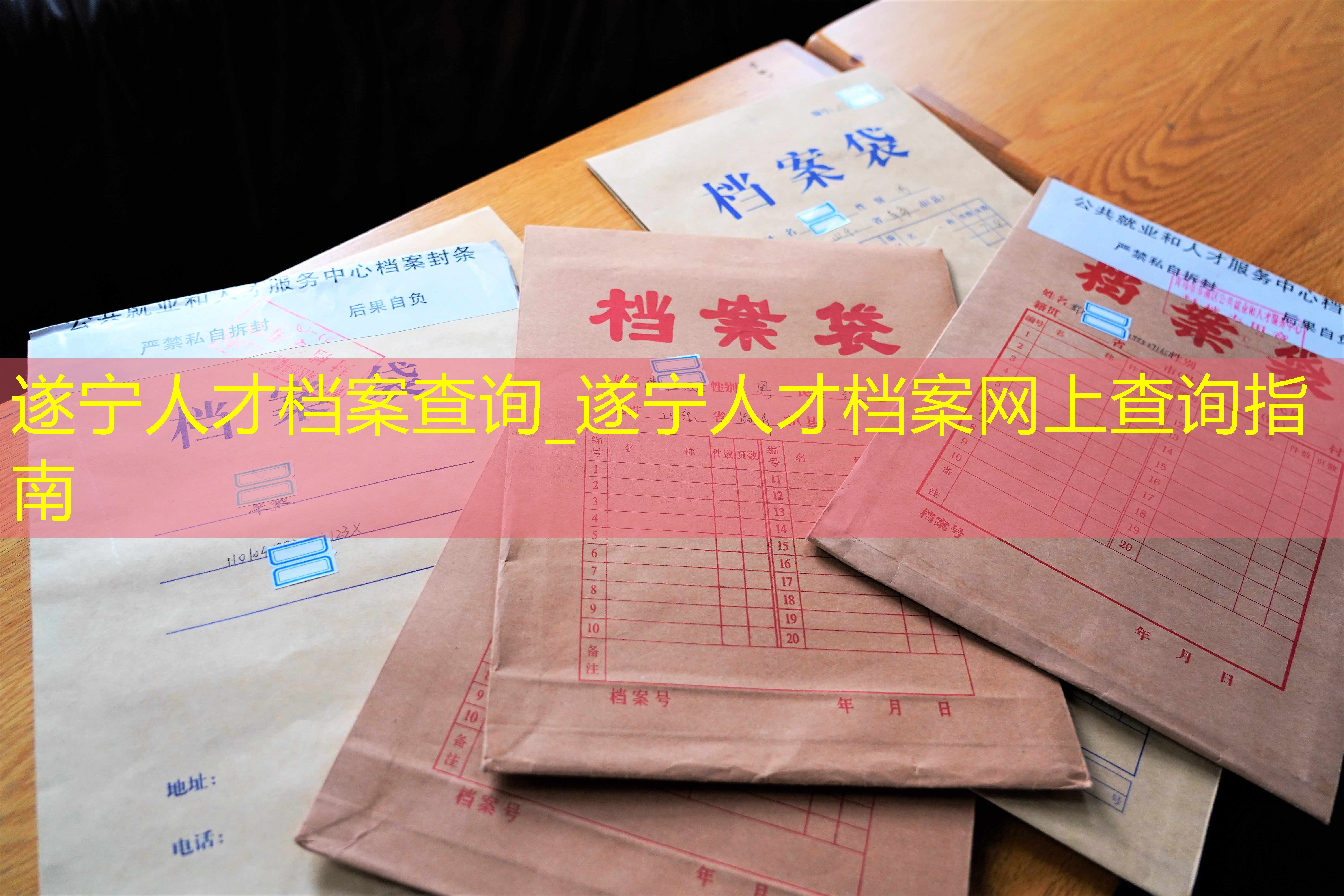 档案查询