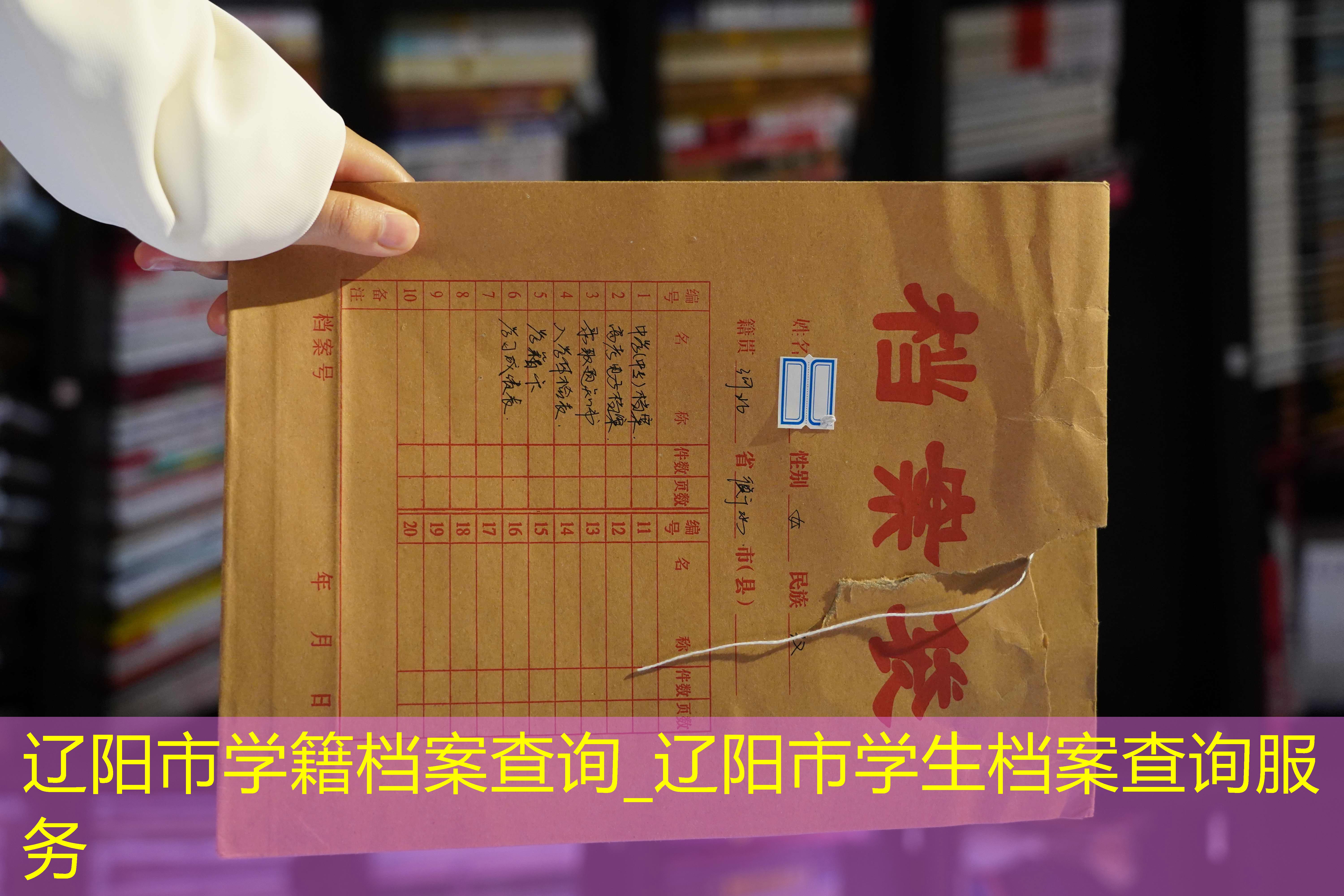 档案查询
