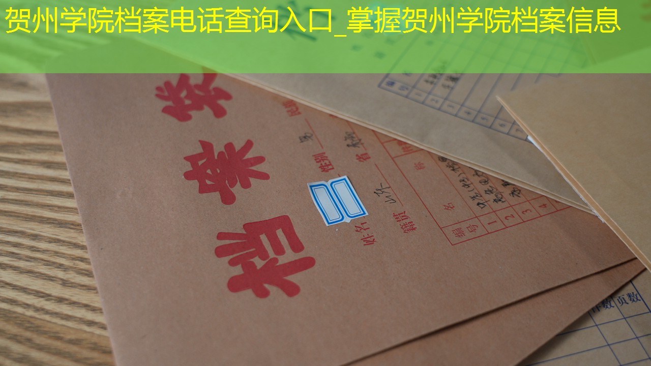 档案查询