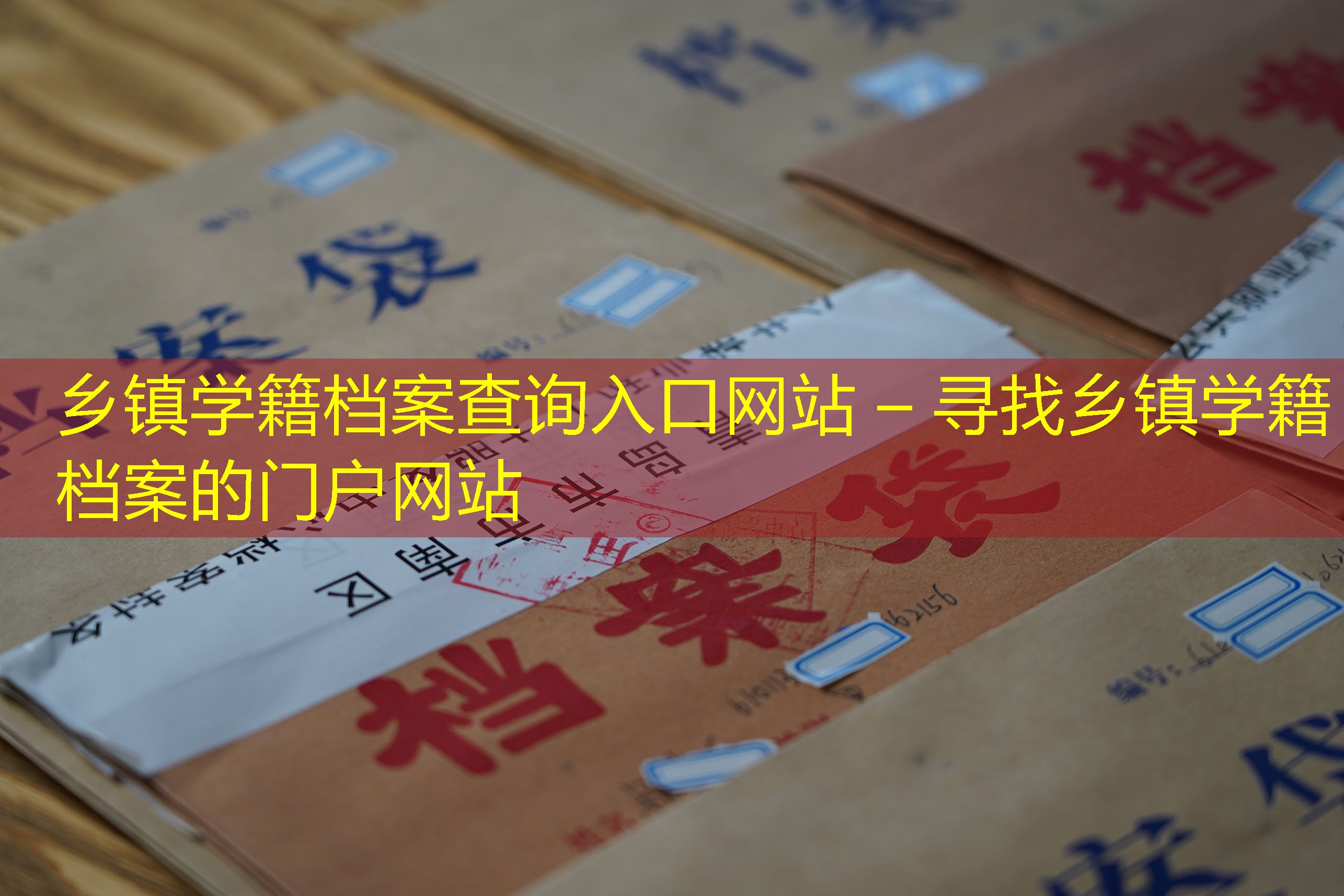 档案查询