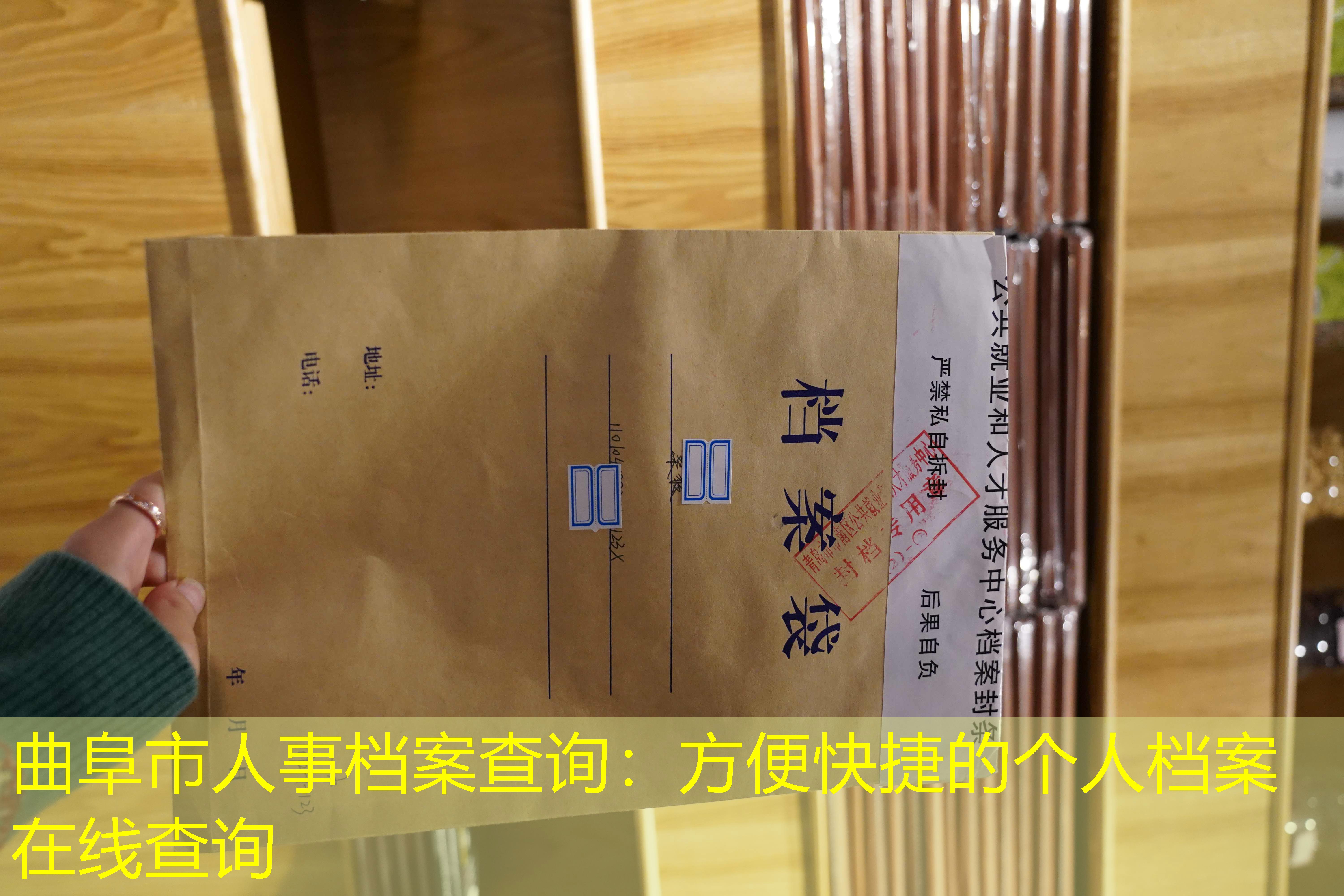 档案查询