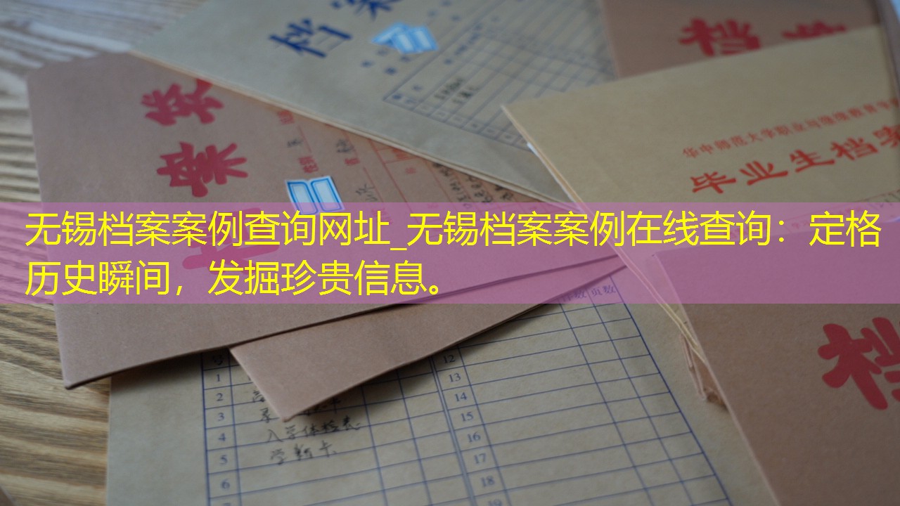 档案查询
