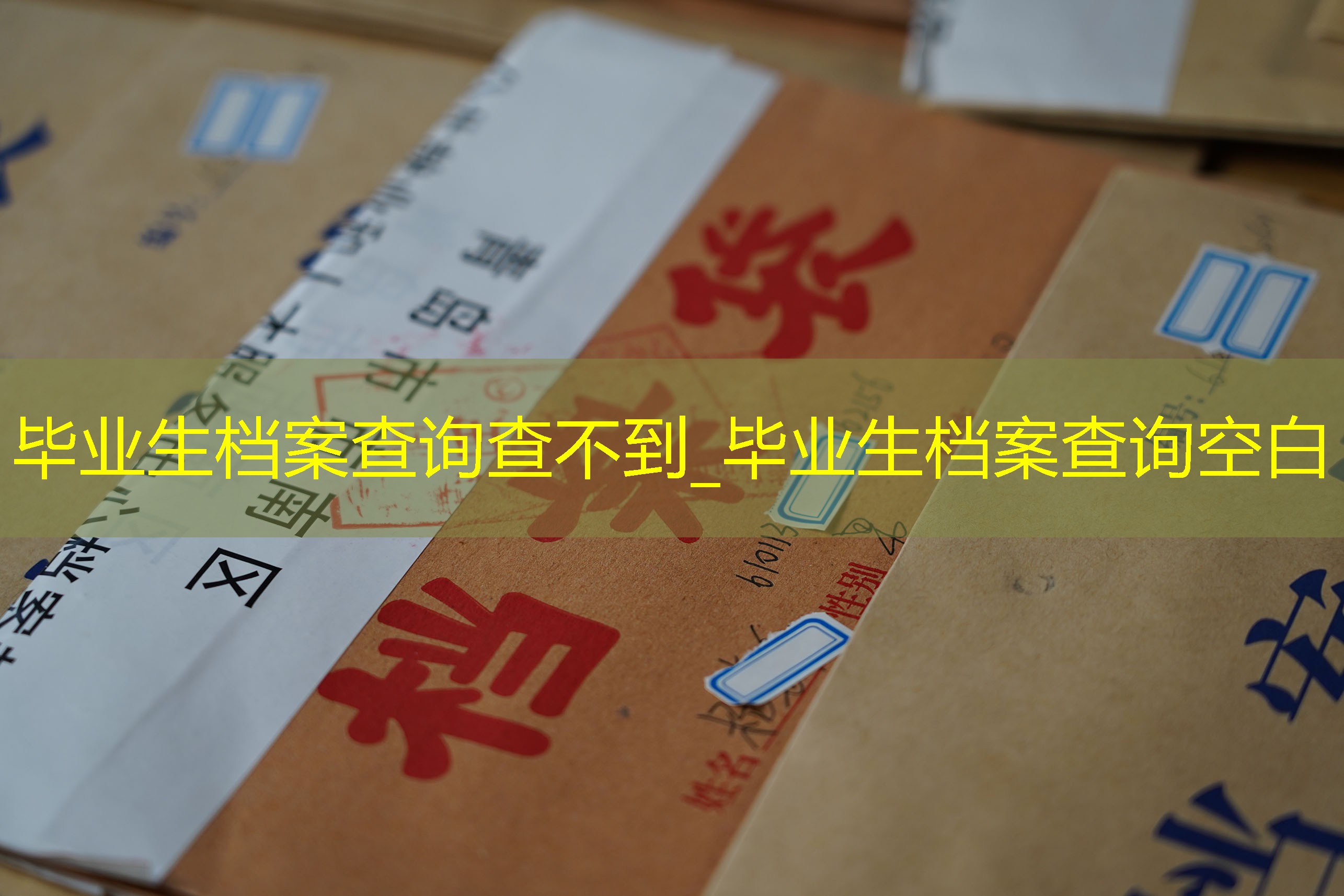 档案查询