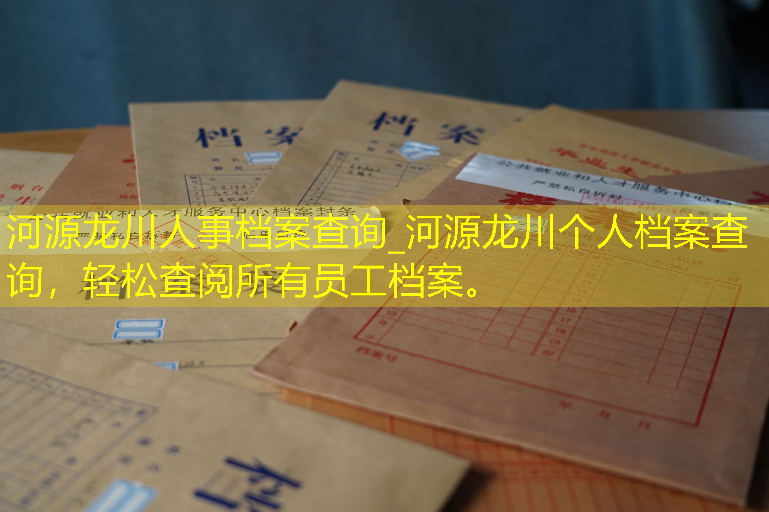 档案查询