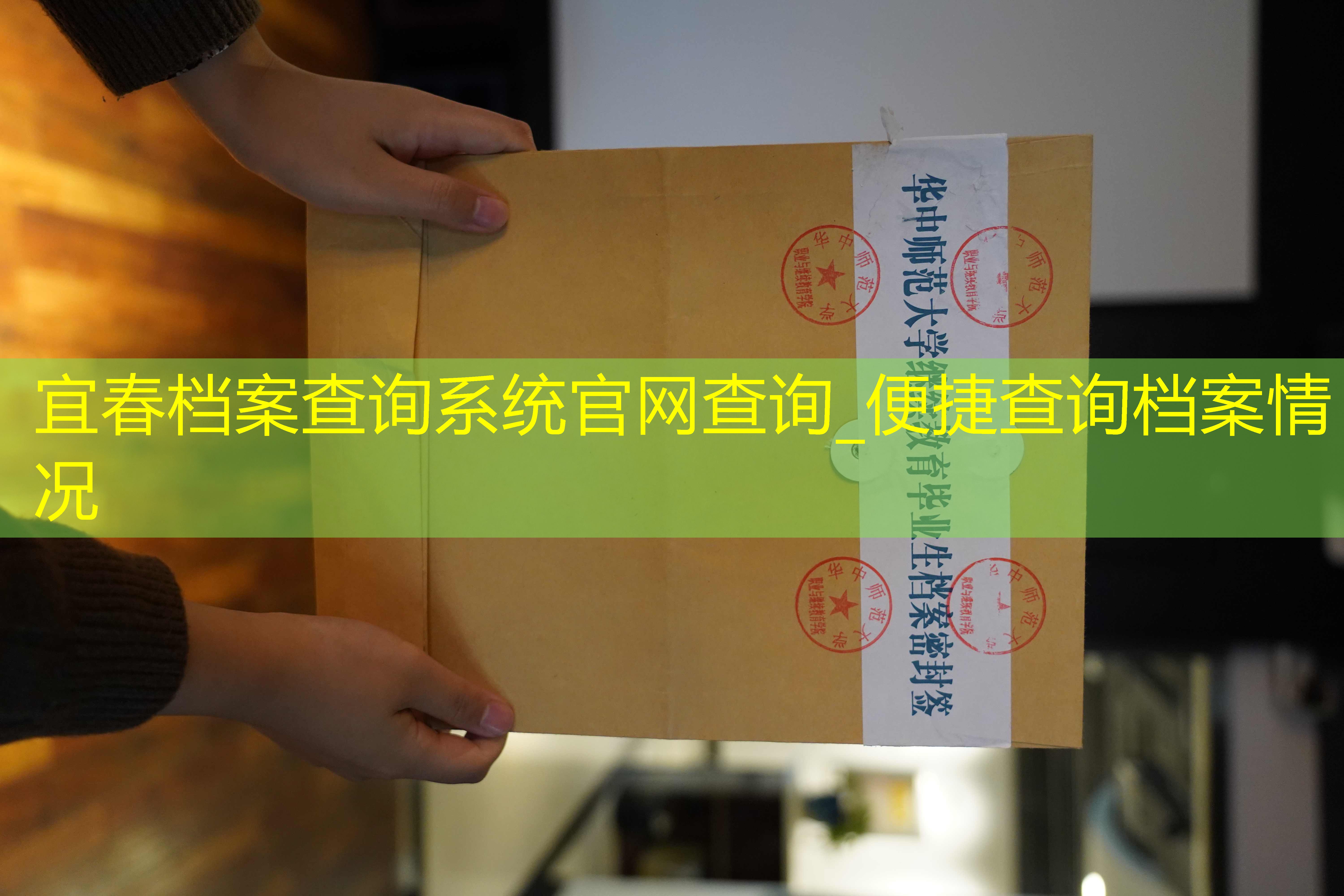 档案查询