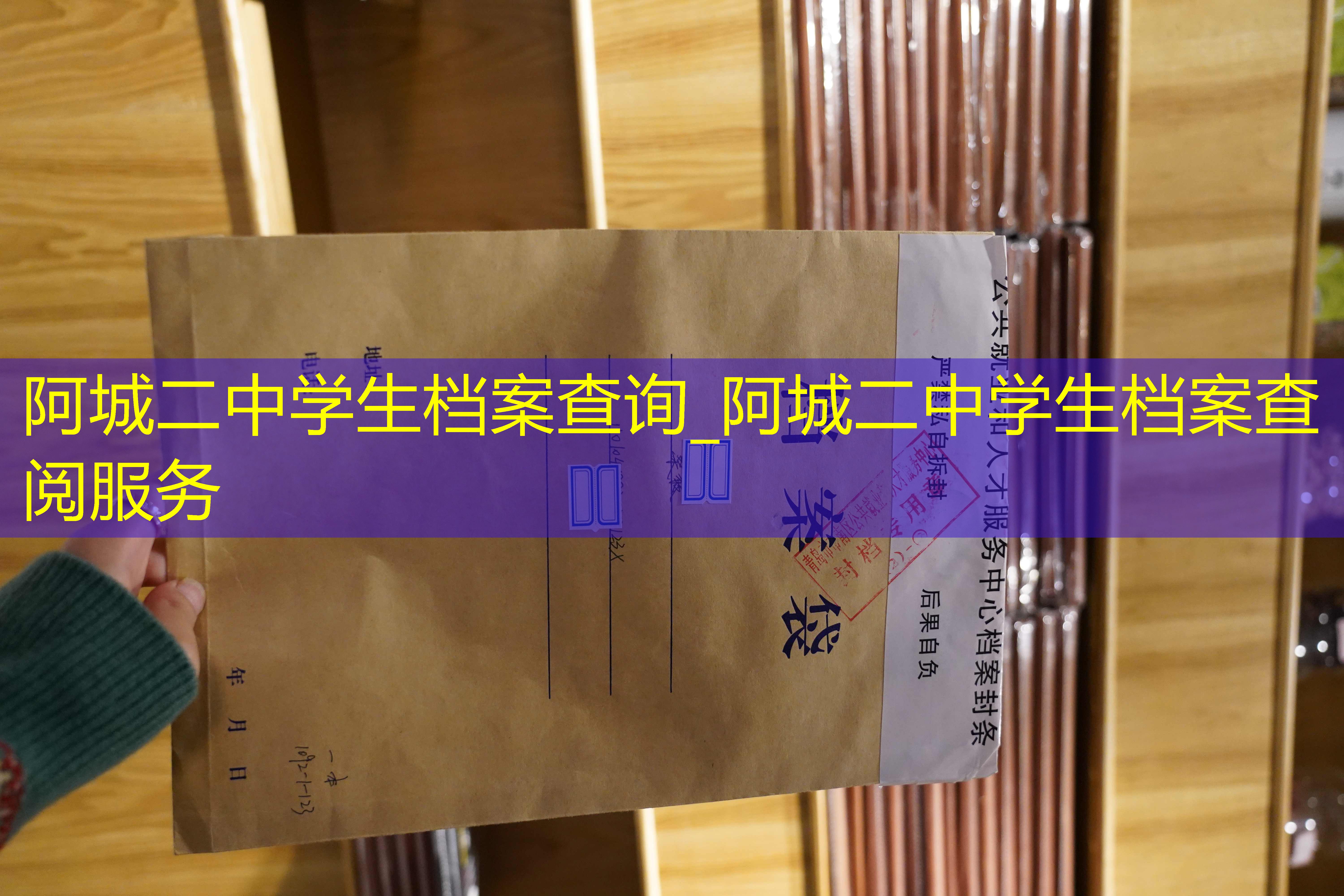 档案查询