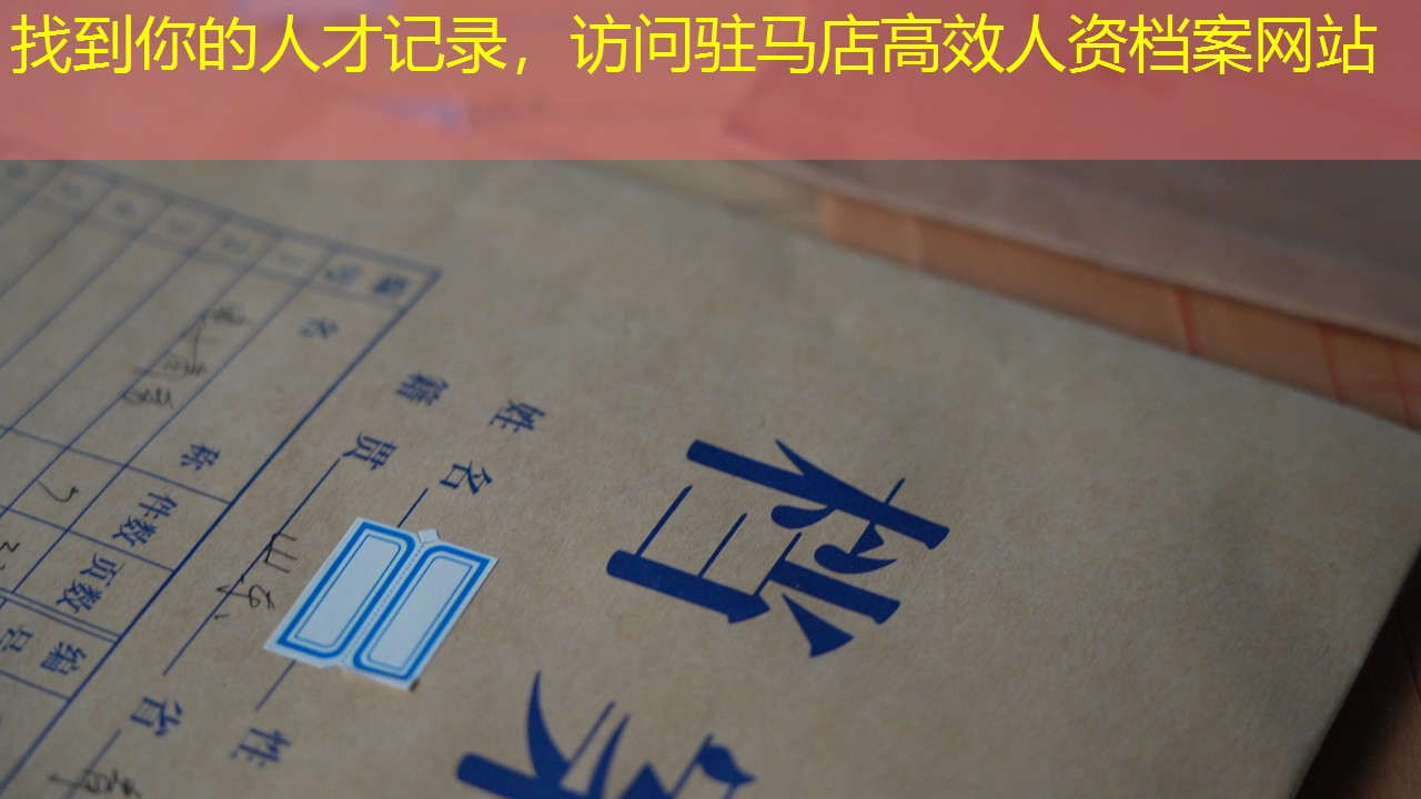 档案查询