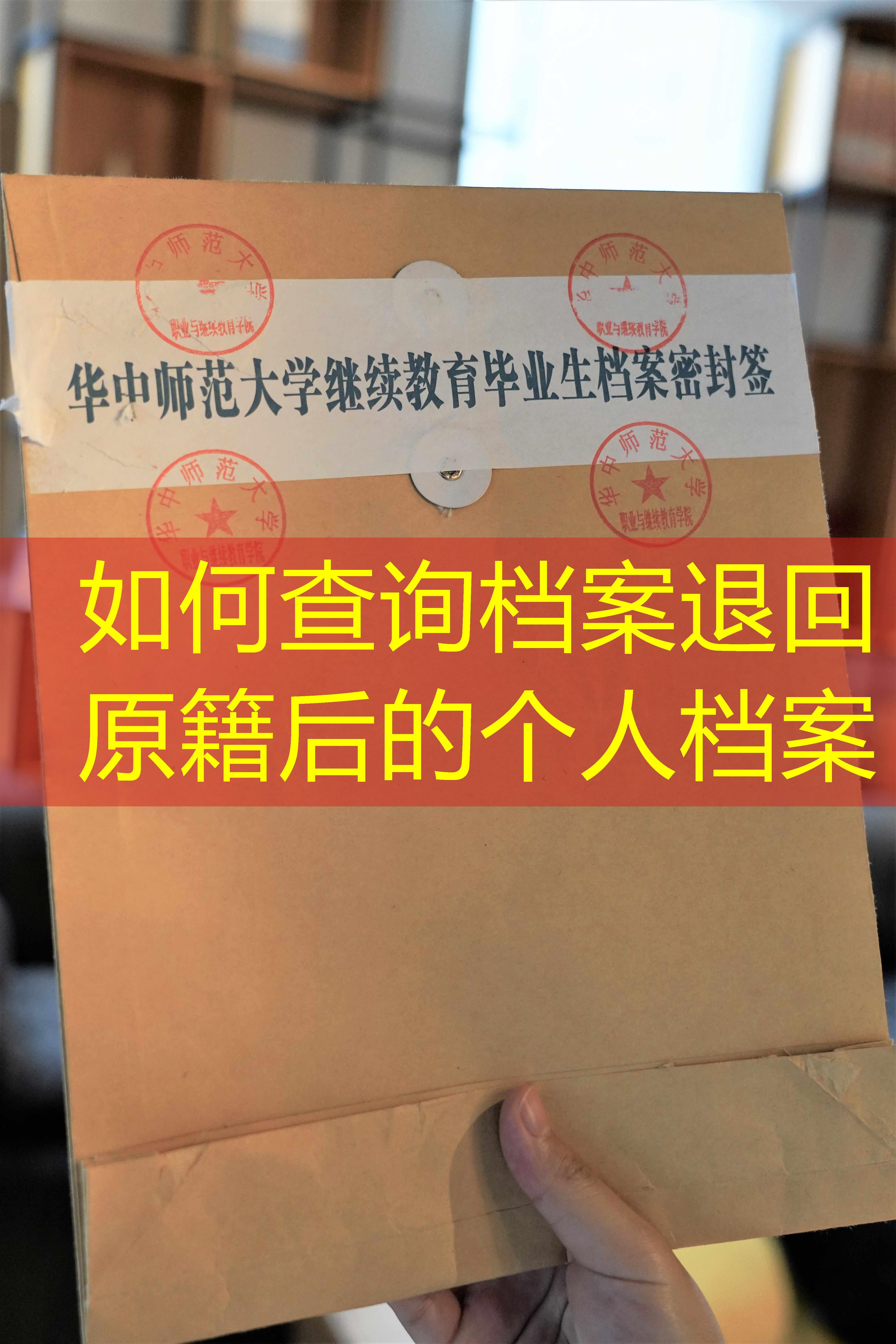档案查询