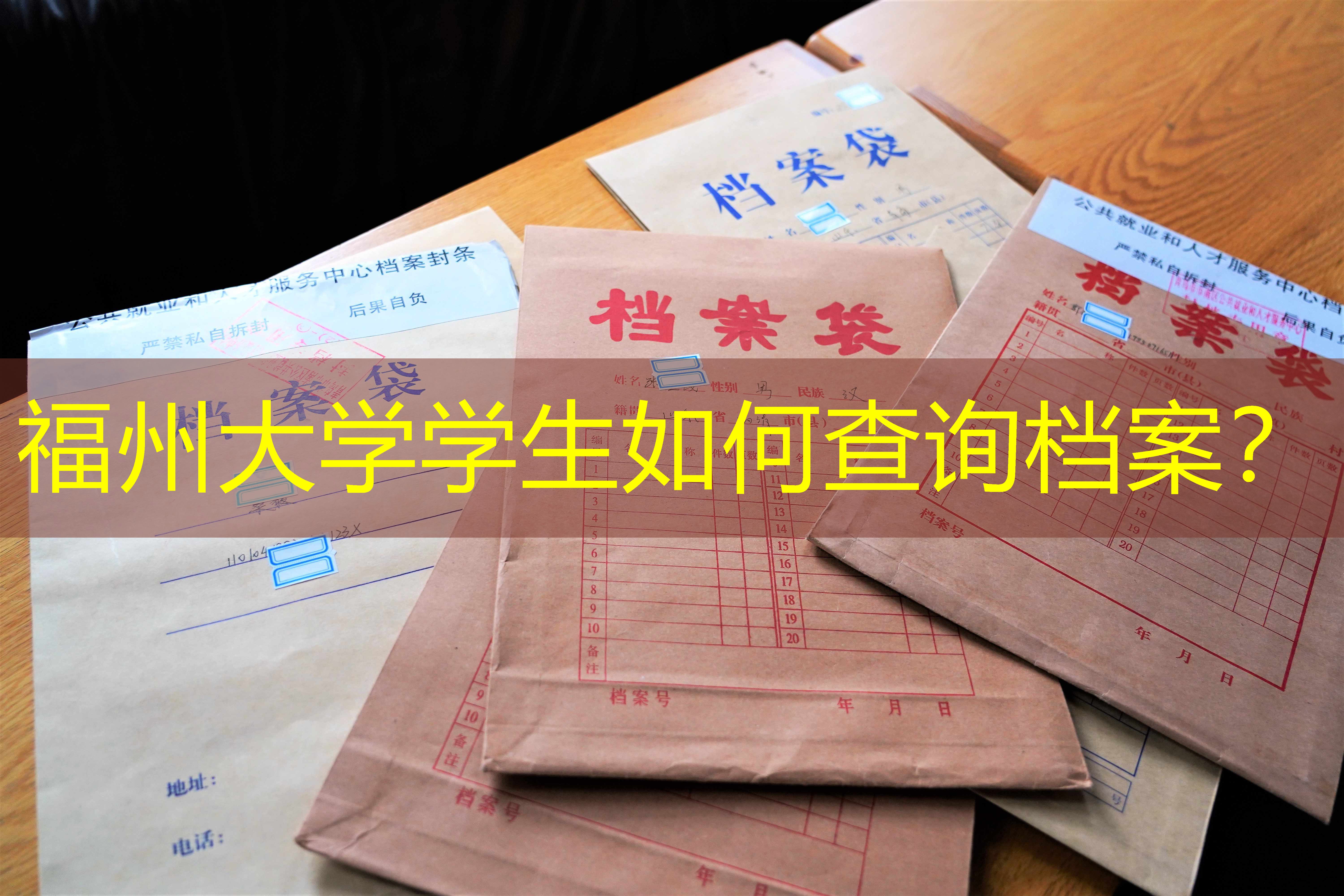 档案查询