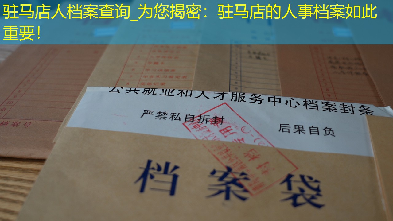 档案查询