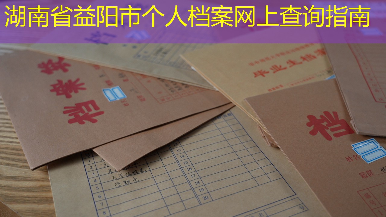 档案查询