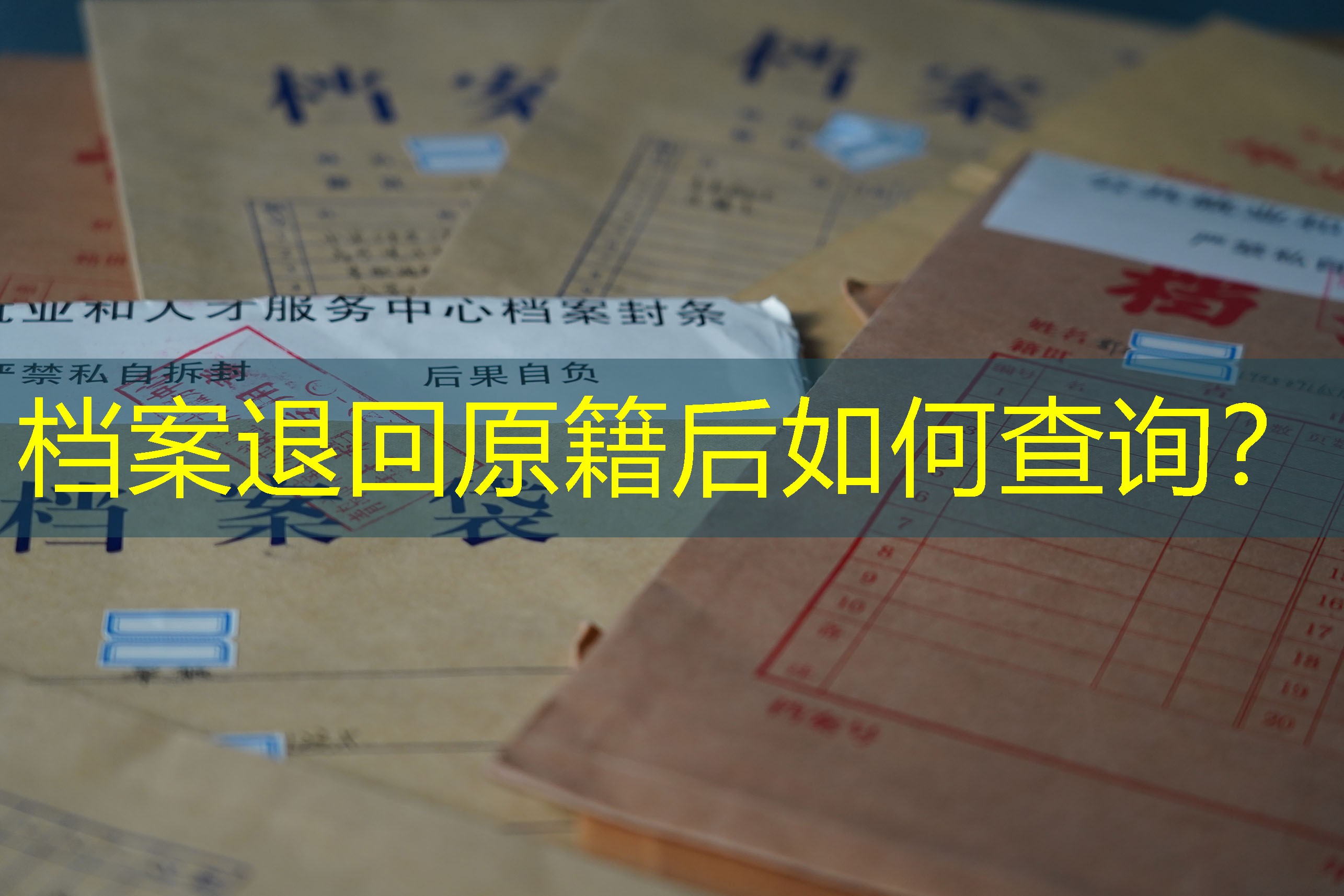 档案查询