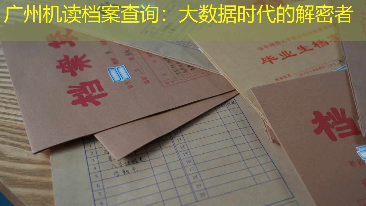 档案查询