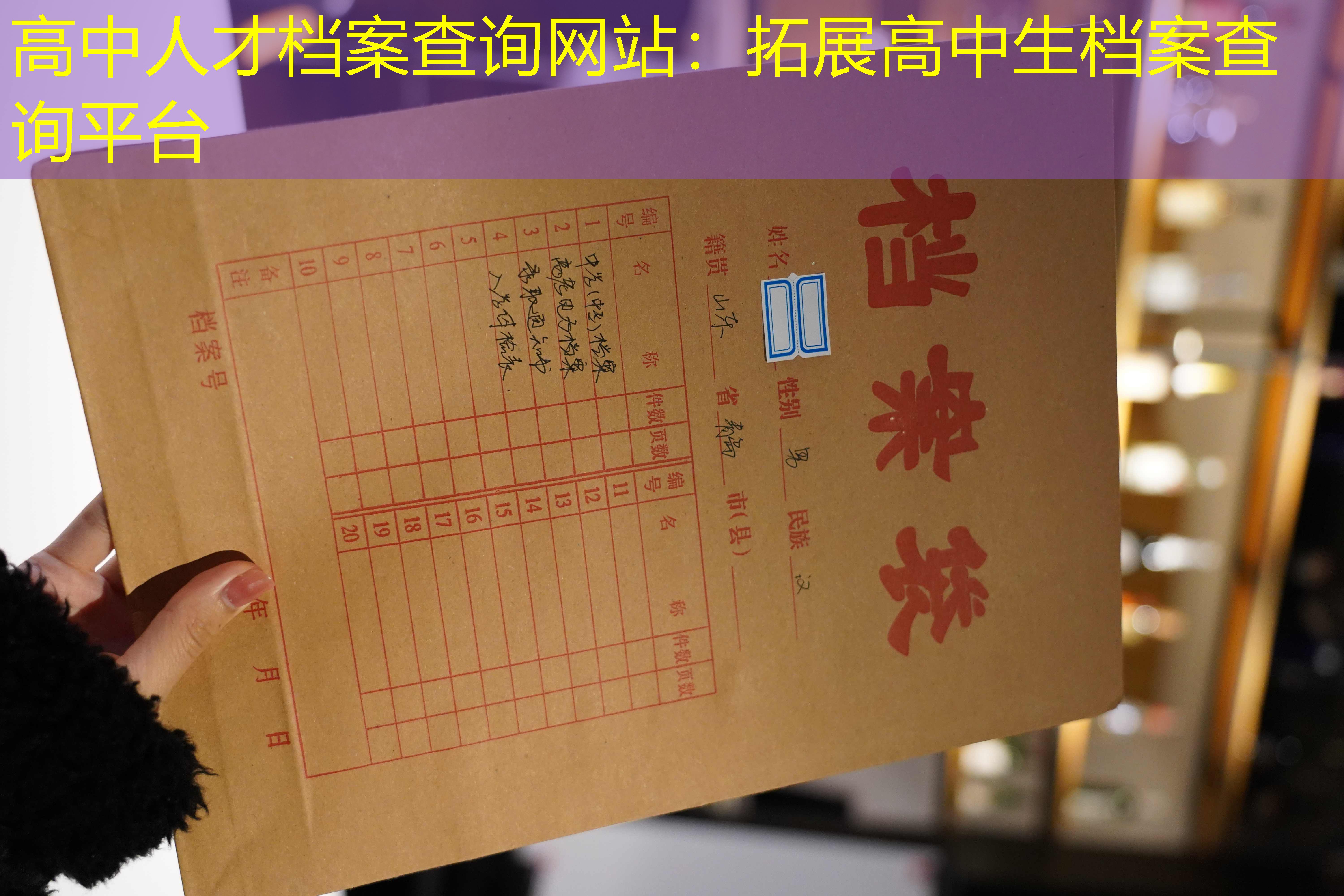 档案查询