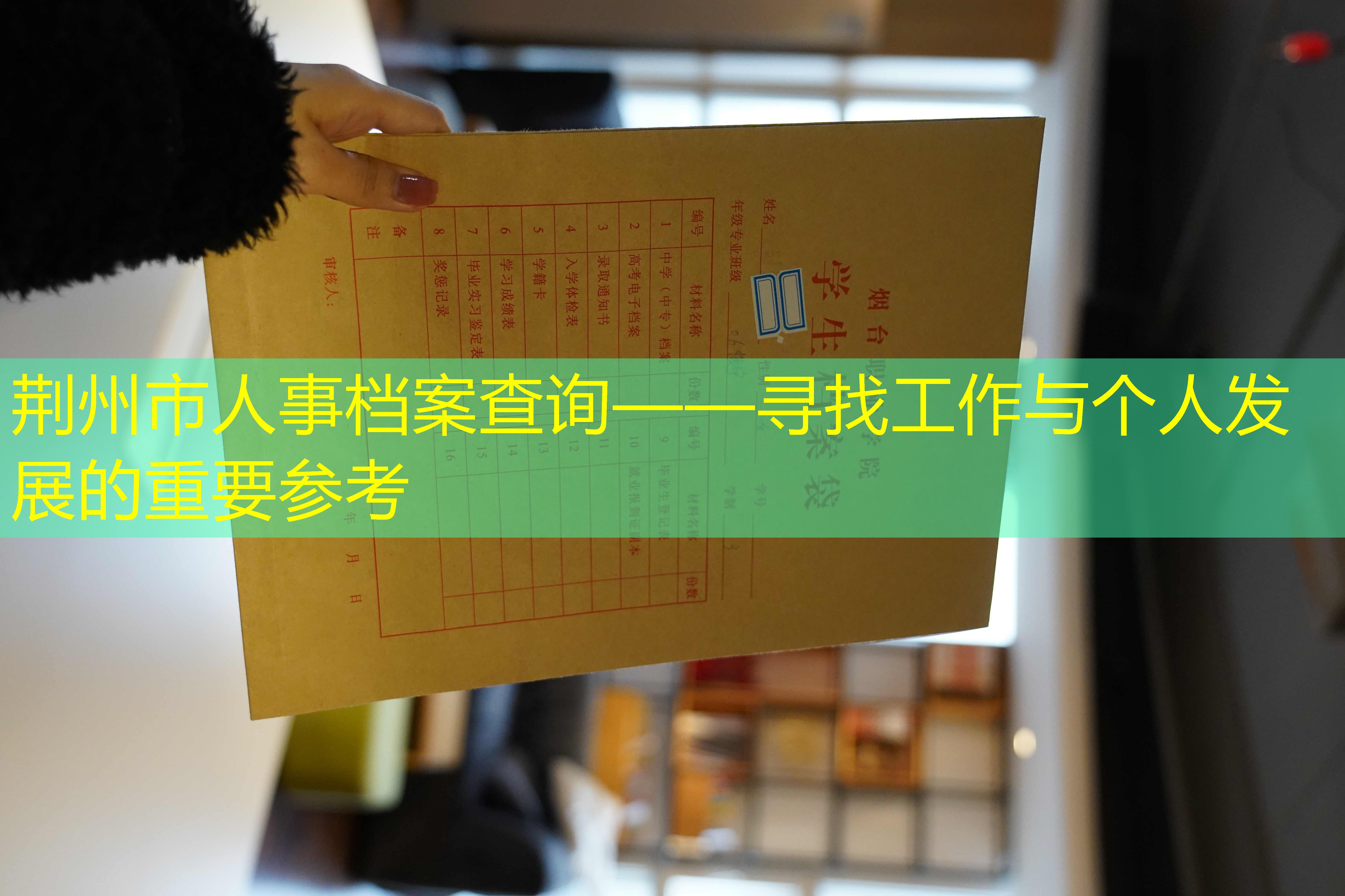 档案查询