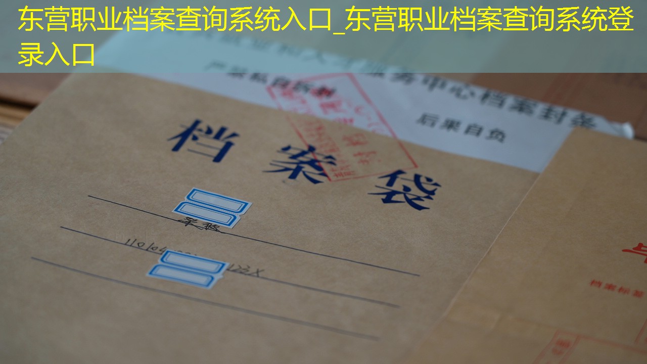 档案查询