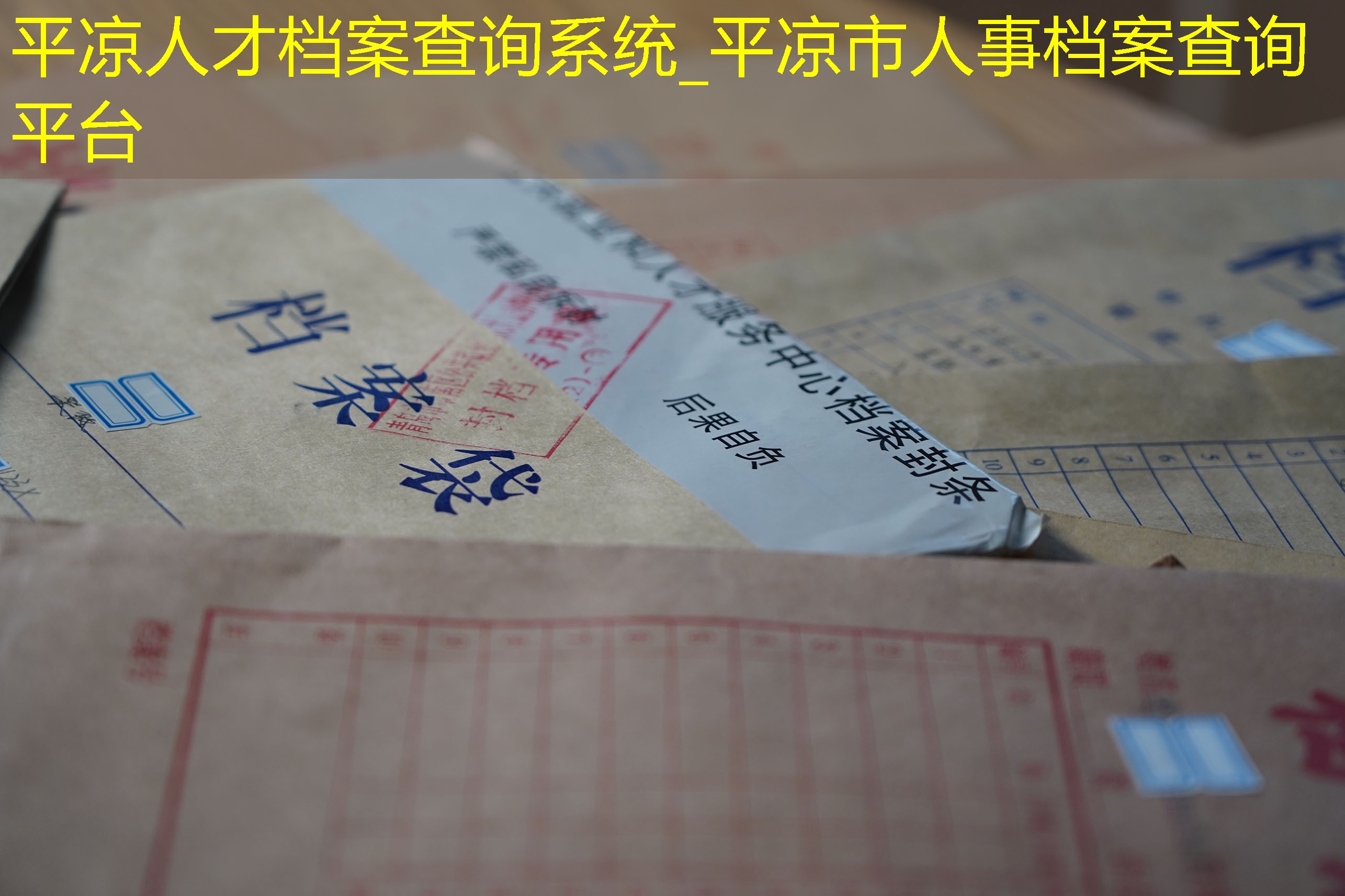 档案查询