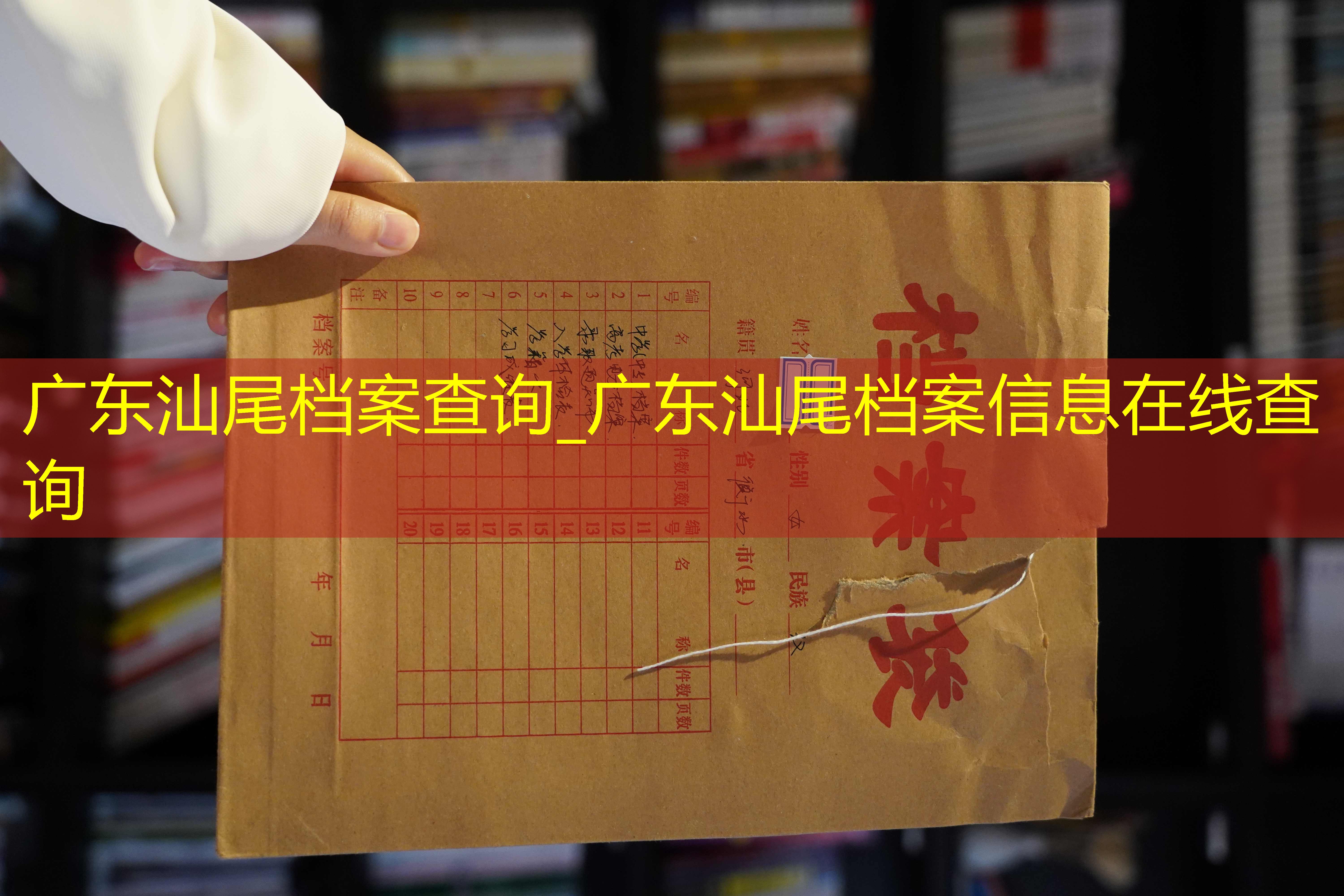 档案查询