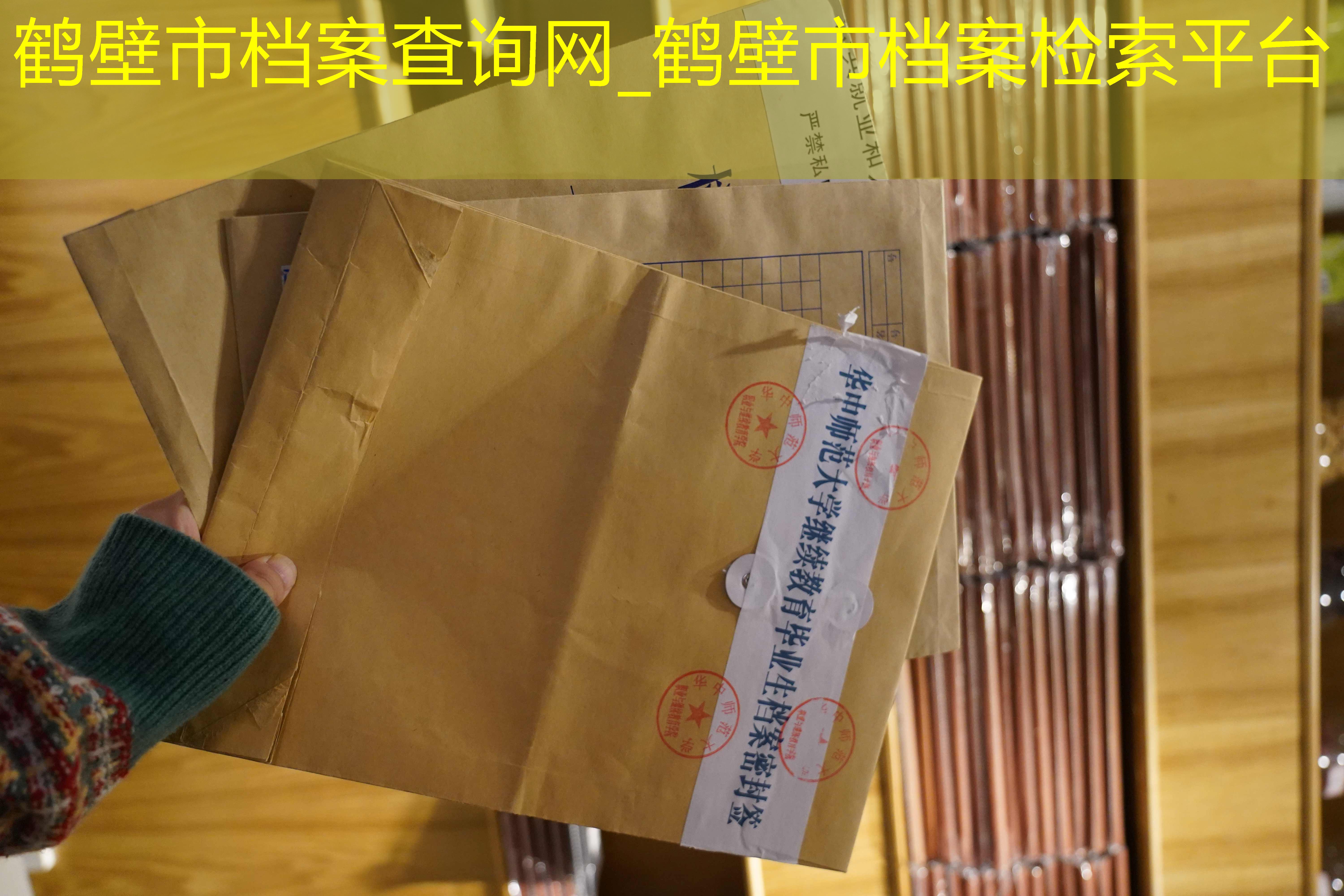 档案查询