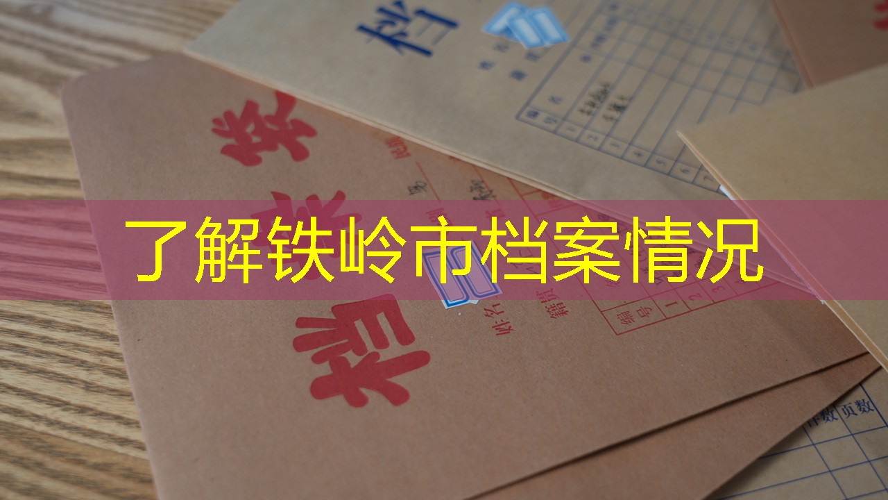 档案查询