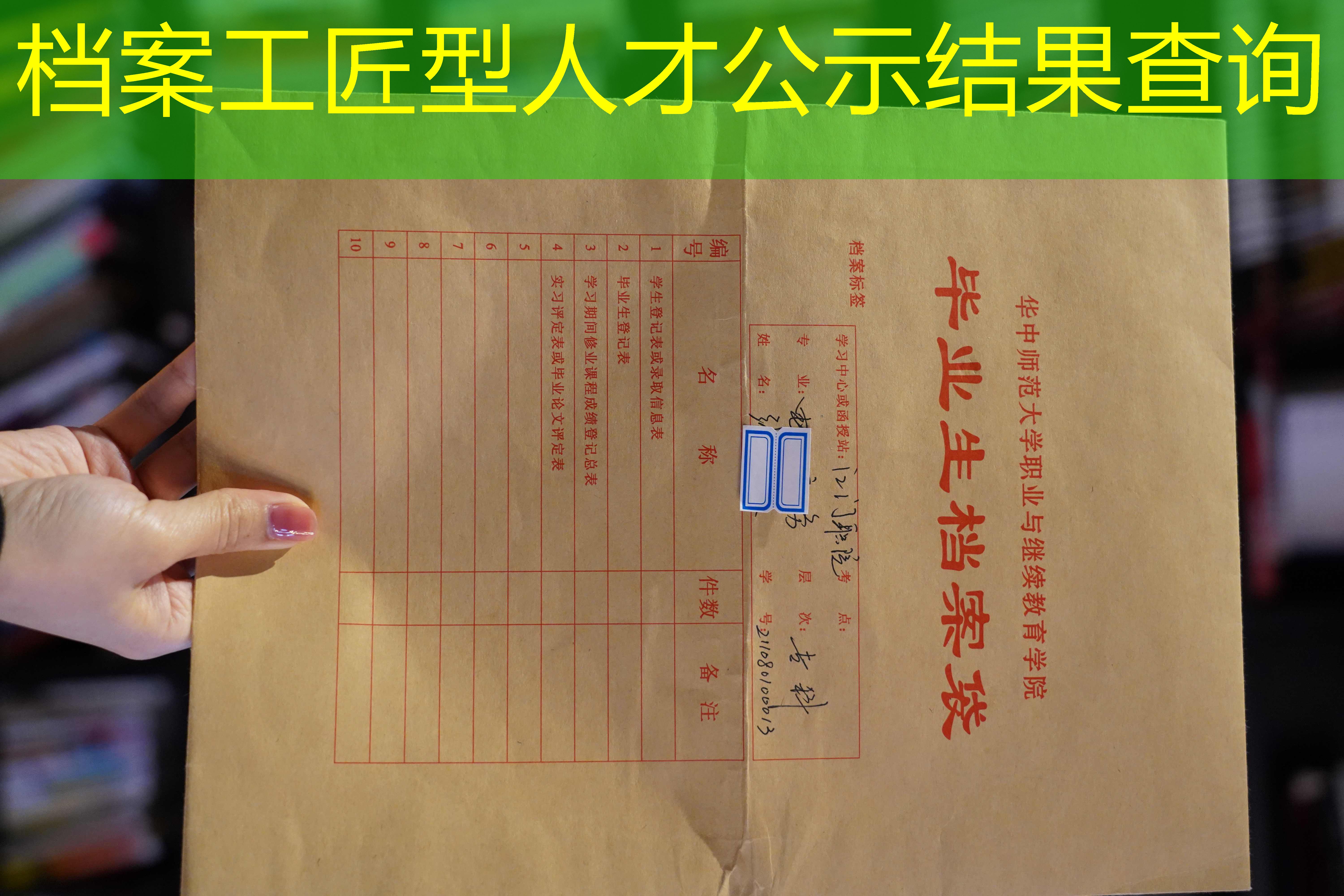 档案查询