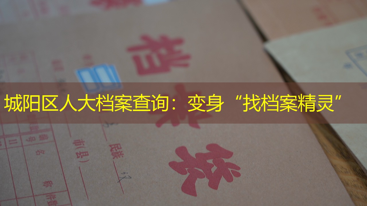 档案查询