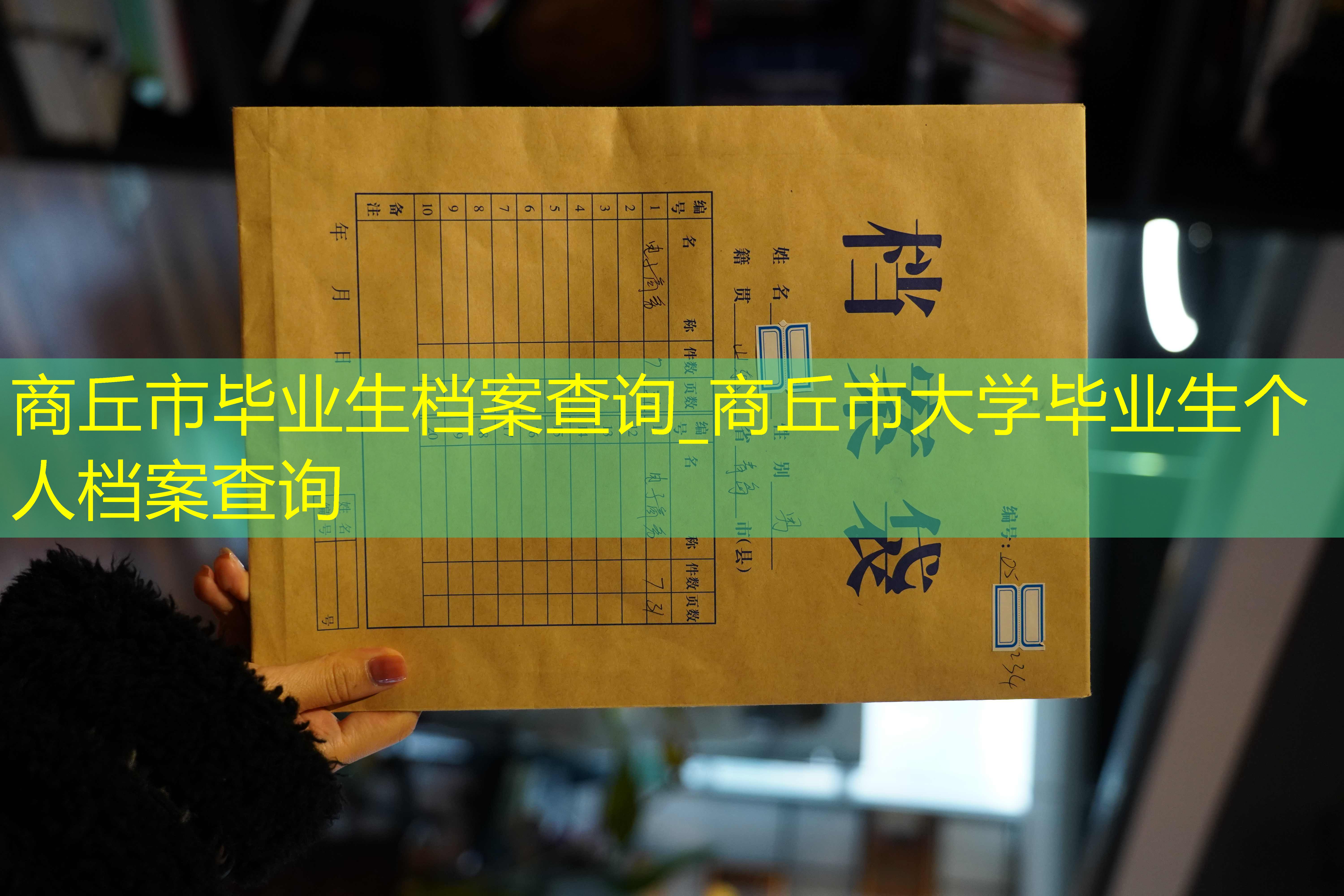 档案查询