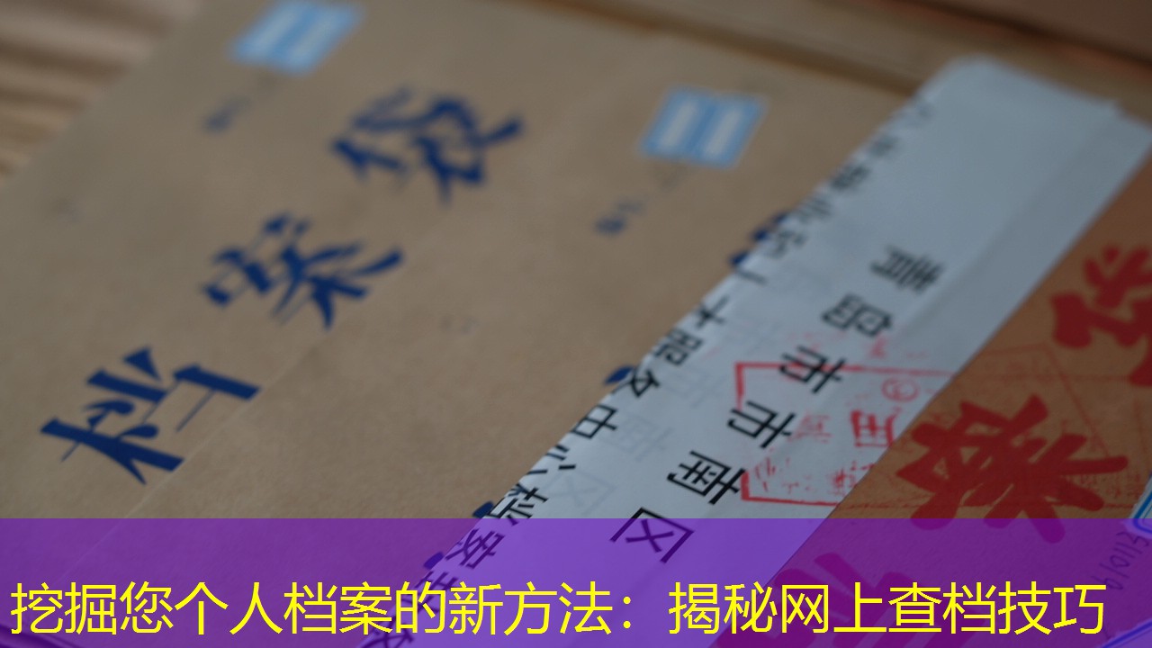档案查询