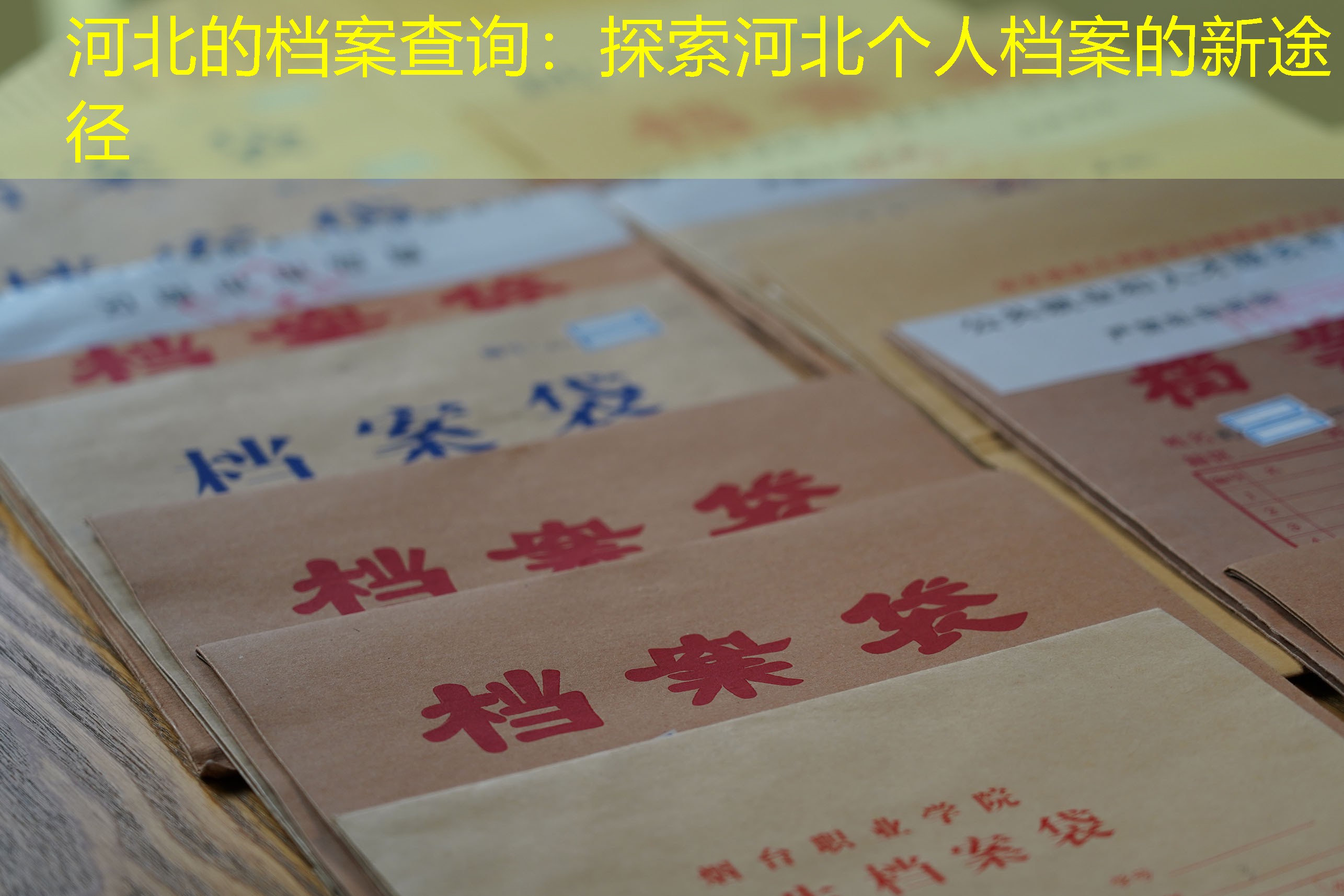 档案查询