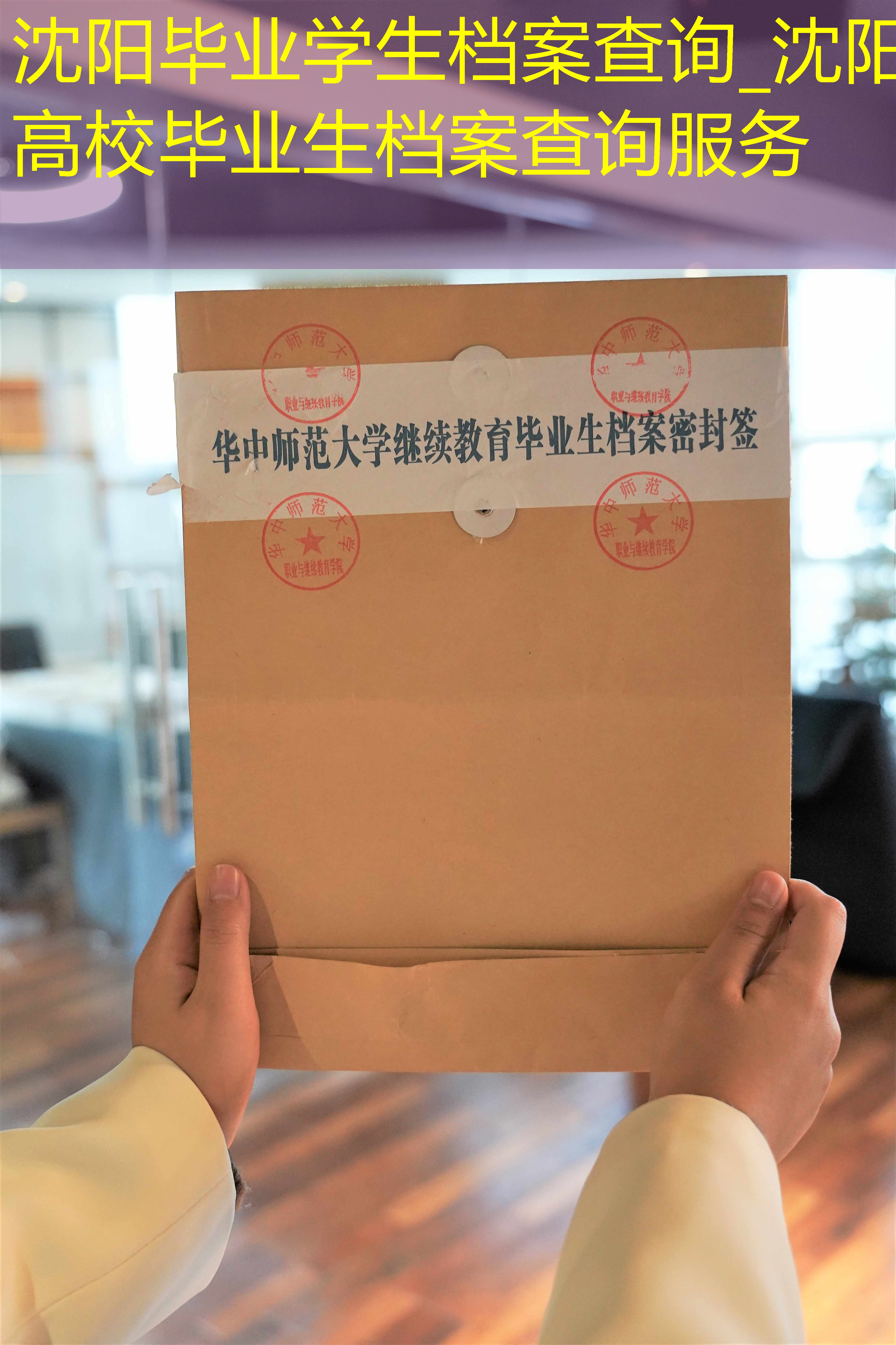 档案查询
