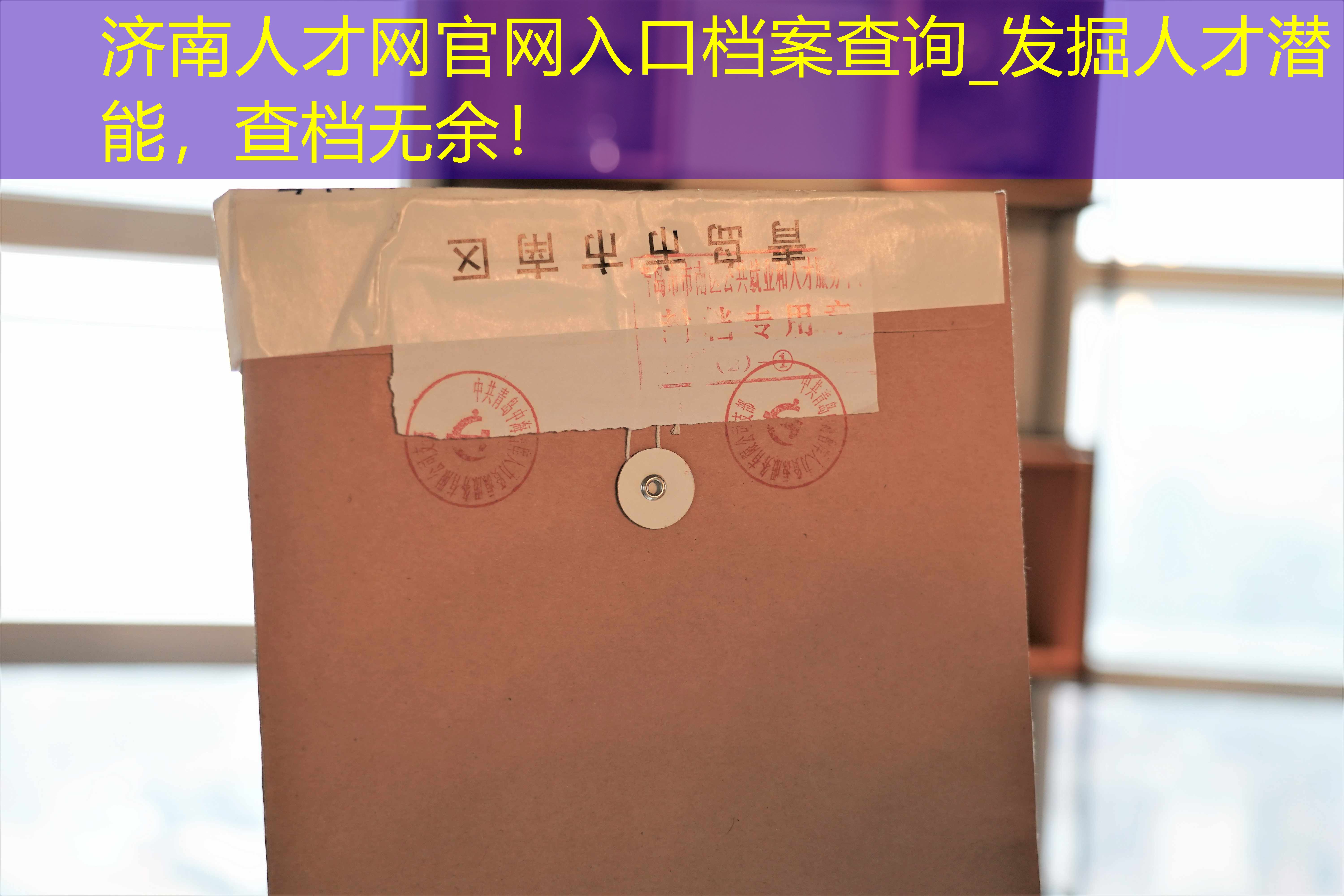 档案查询
